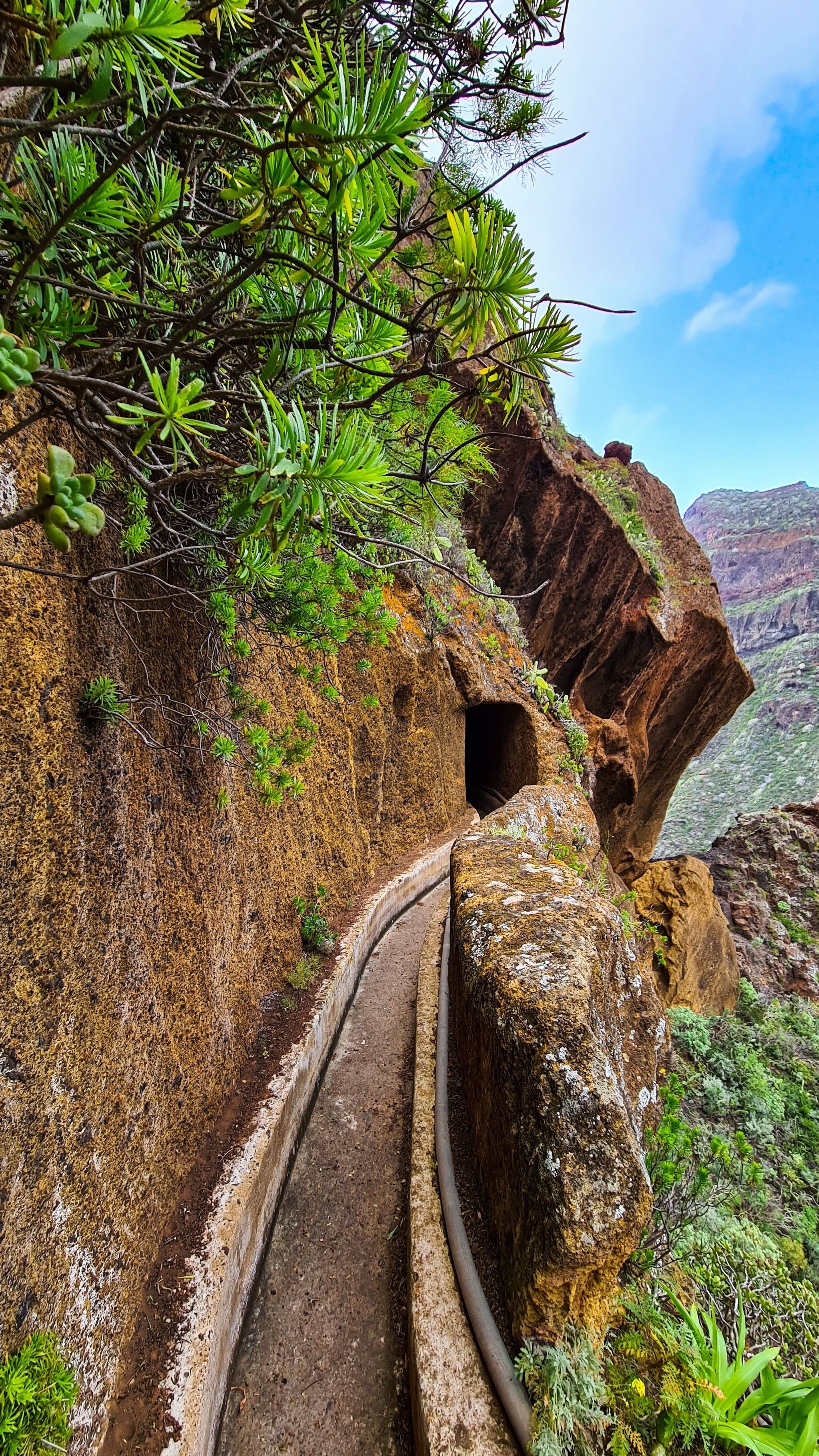 Bejía baja canal trail