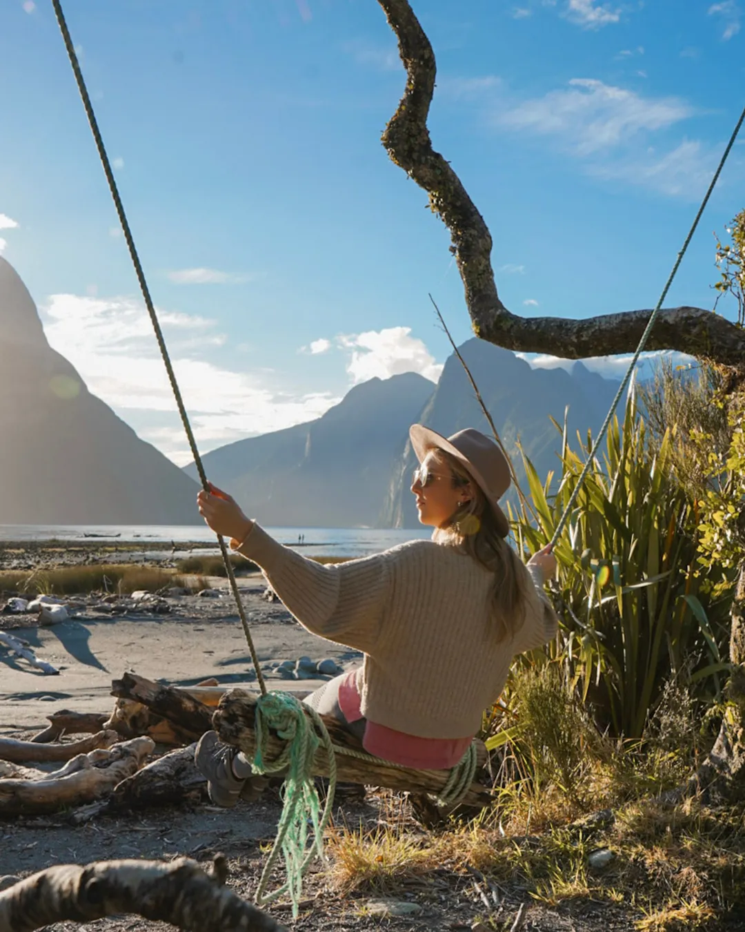 Milford Sound Swing