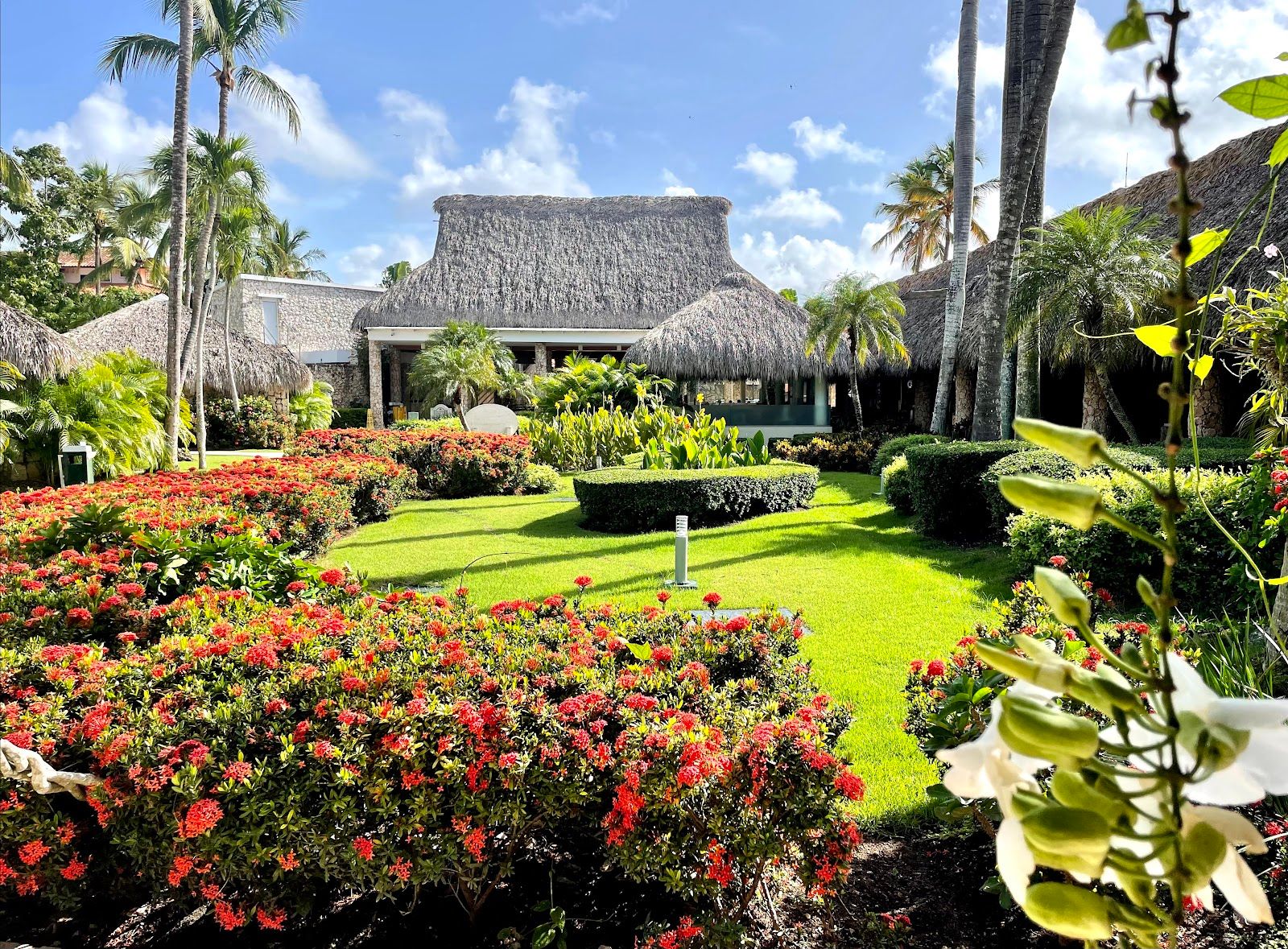 Viva Wyndham Dominicus Beach