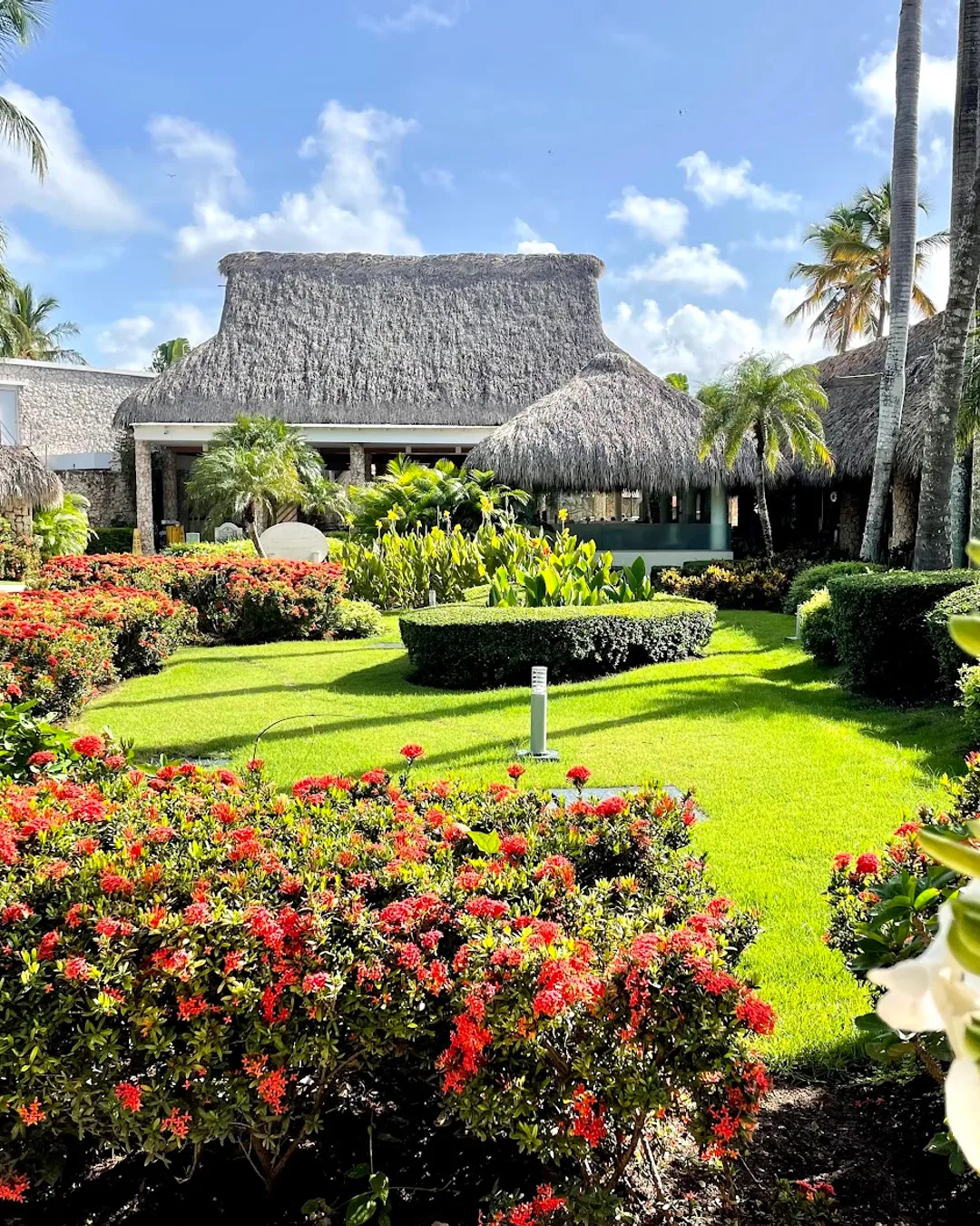 Viva Wyndham Dominicus Beach