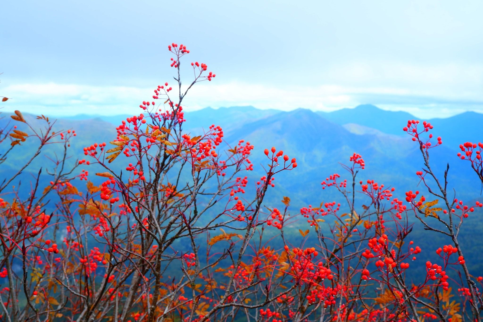 Mt. Kurodake - Nagano, Japan - Rexby