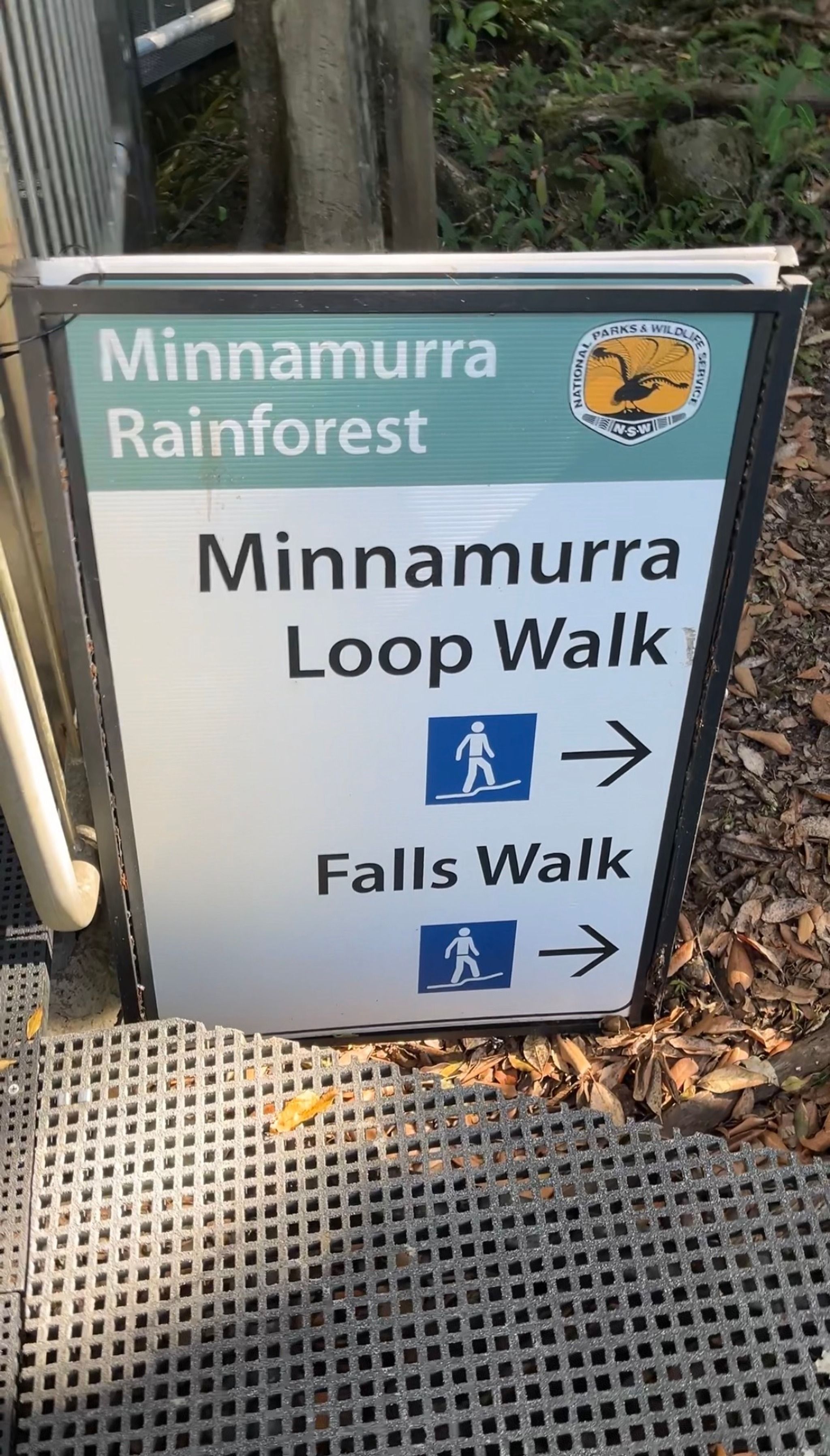 Minnamurra Rainforest Centre