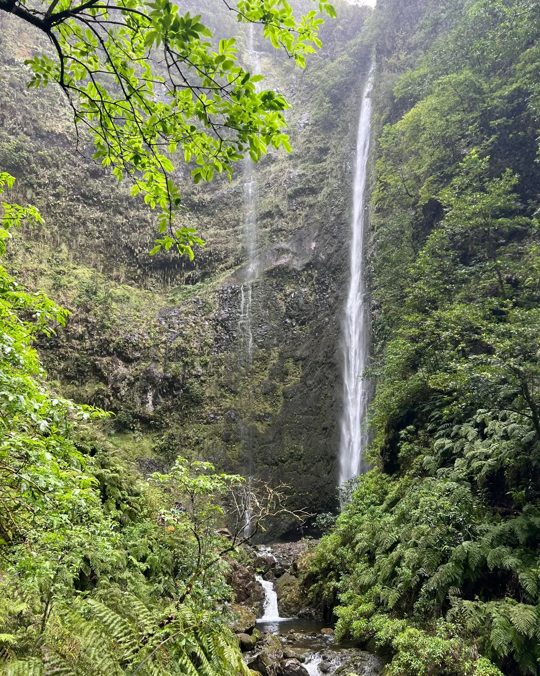 PR9 Levada do Caldeirão Verde