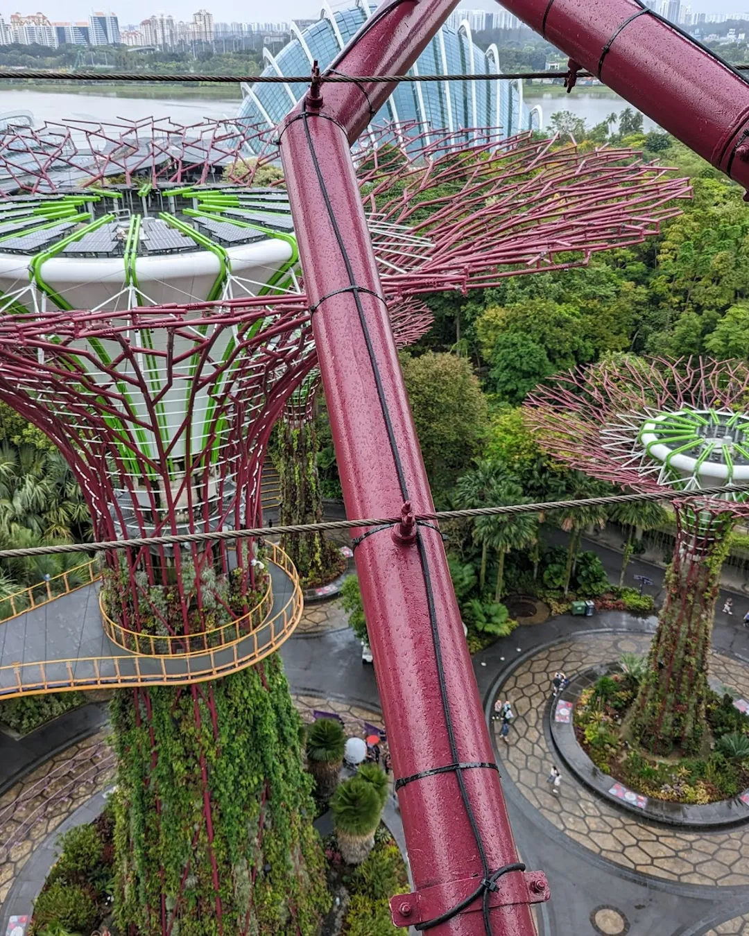 Supertree Observatory - Singapore - Rexby