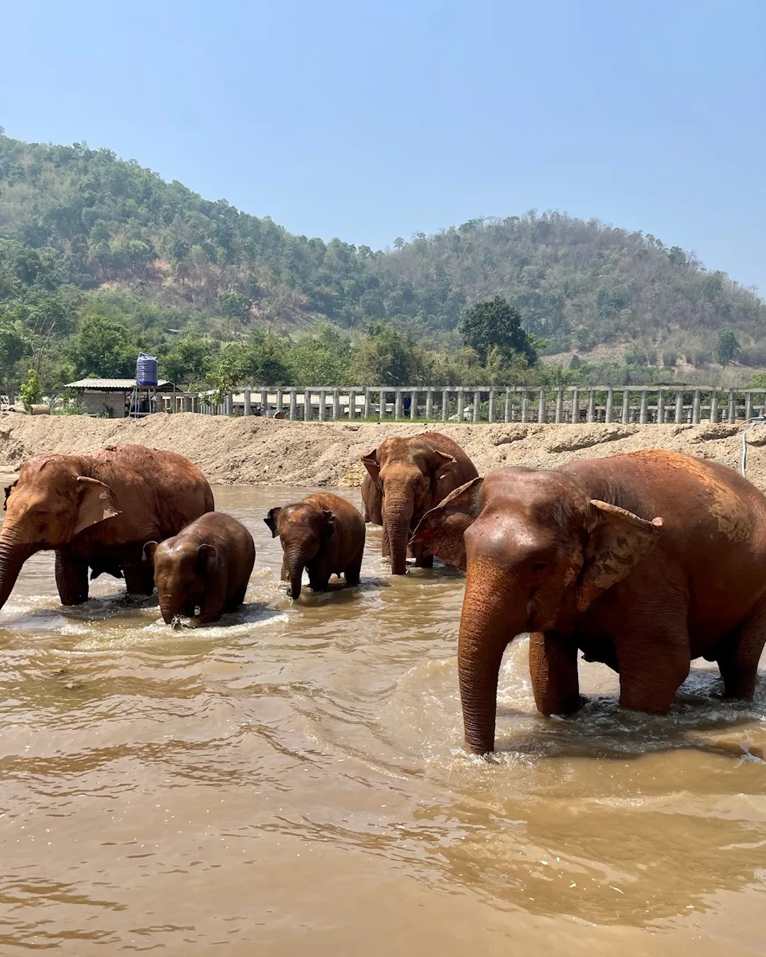 Elephant Nature Park