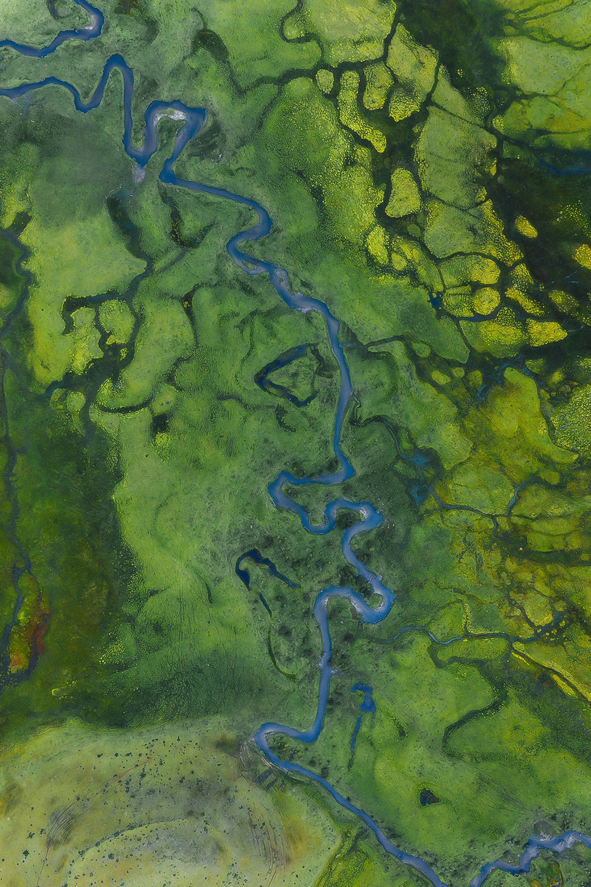 Phobjikha - Valley