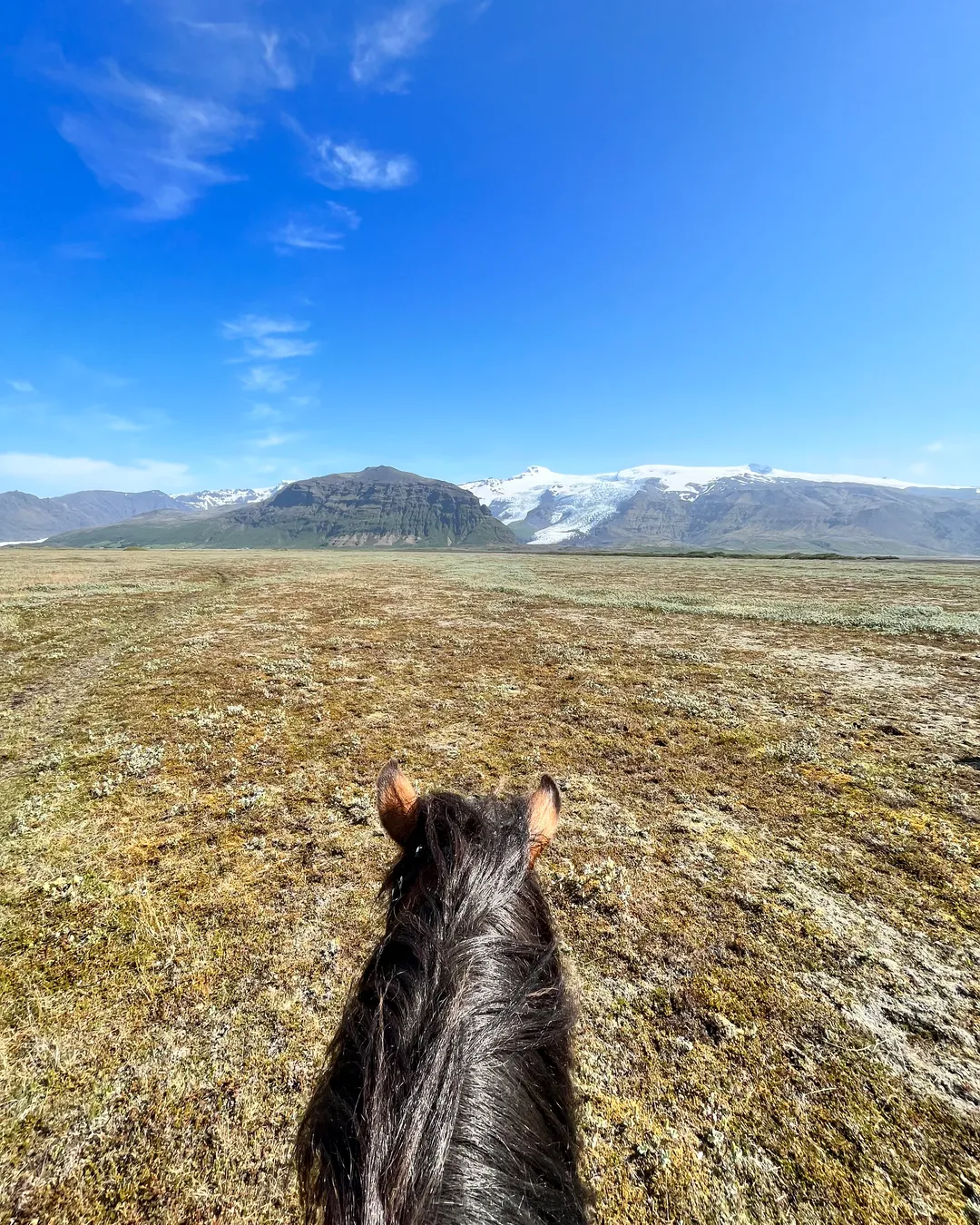 Glacier Horses