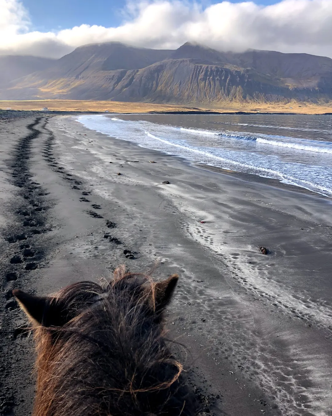 Langhus farm, Northwest, Iceland