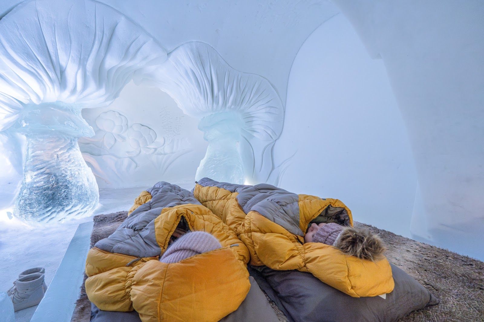 Arctic SnowHotel & Glass Igloos