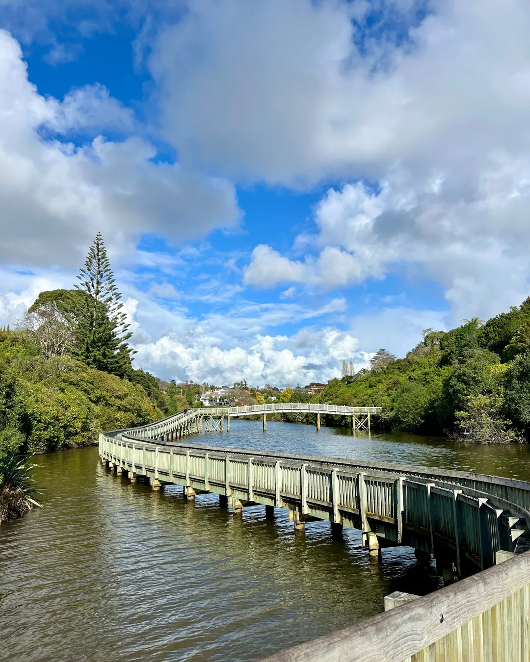 Orakei Basin