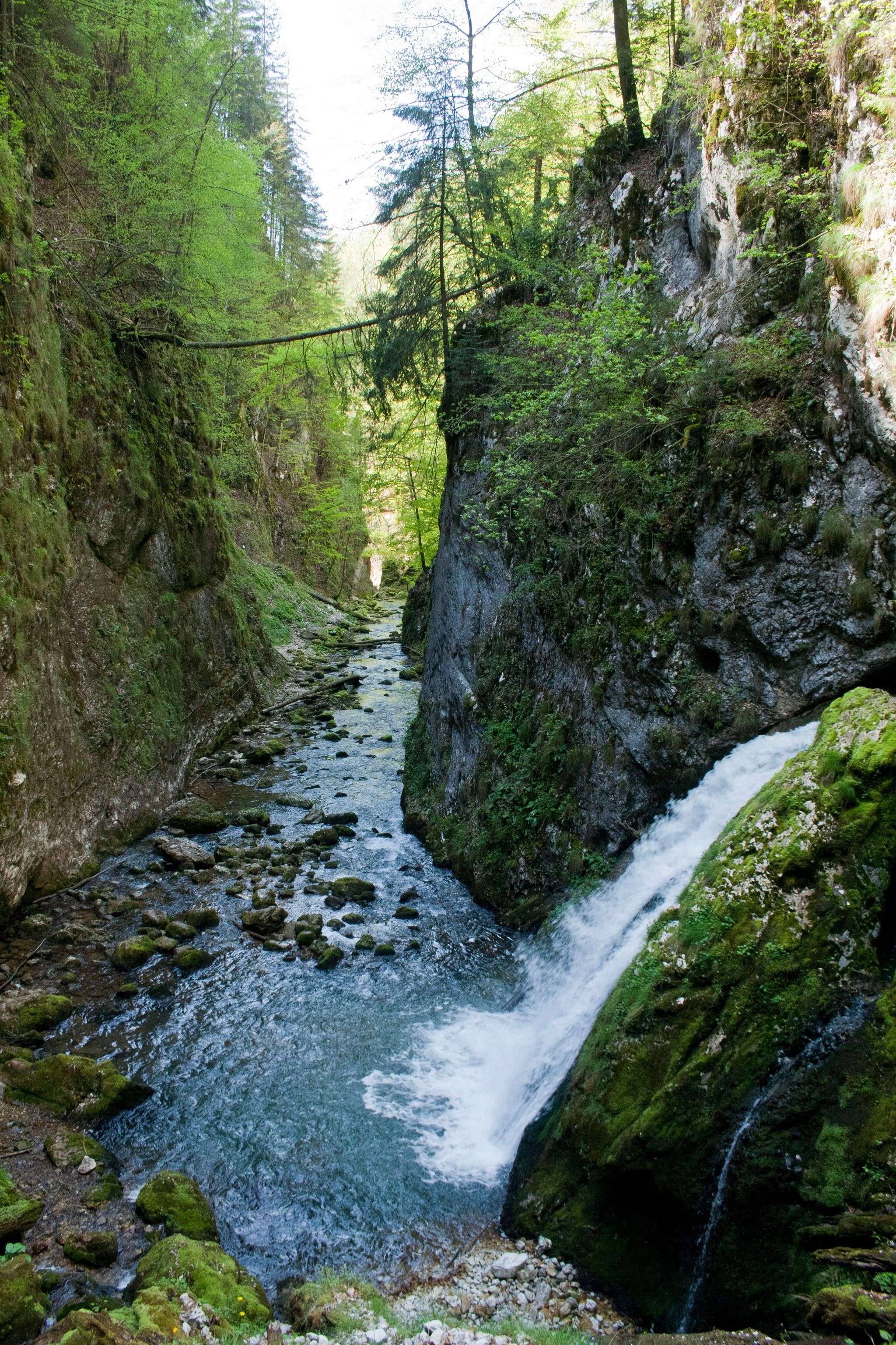 Galbenei (Yellow) Gorge
