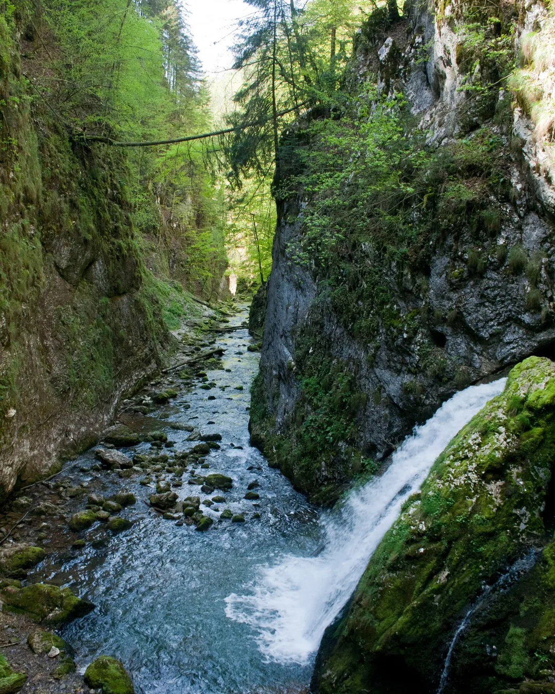 Galbenei (Yellow) Gorge