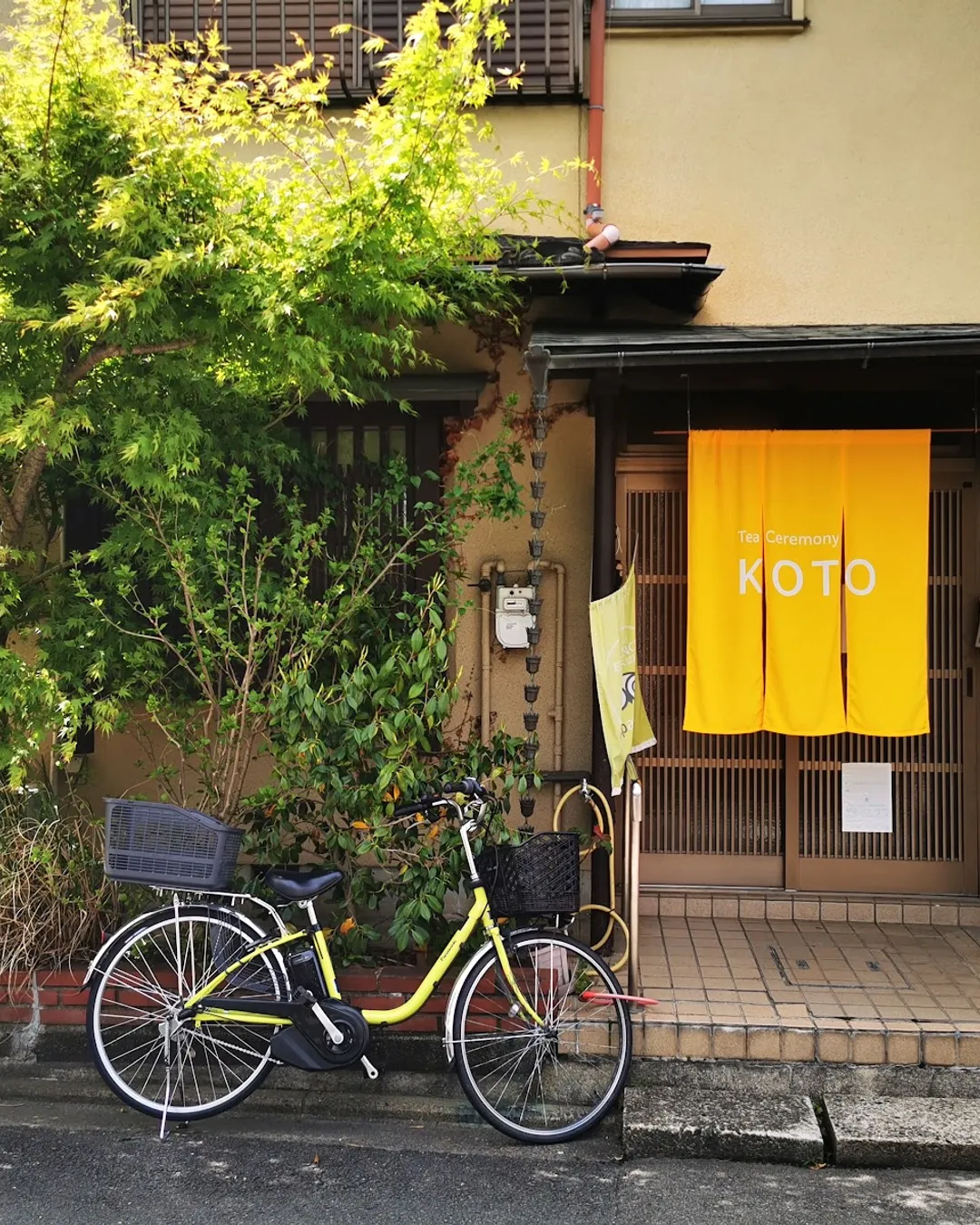 茶道体験 古都(Tea Ceremony KOTO)