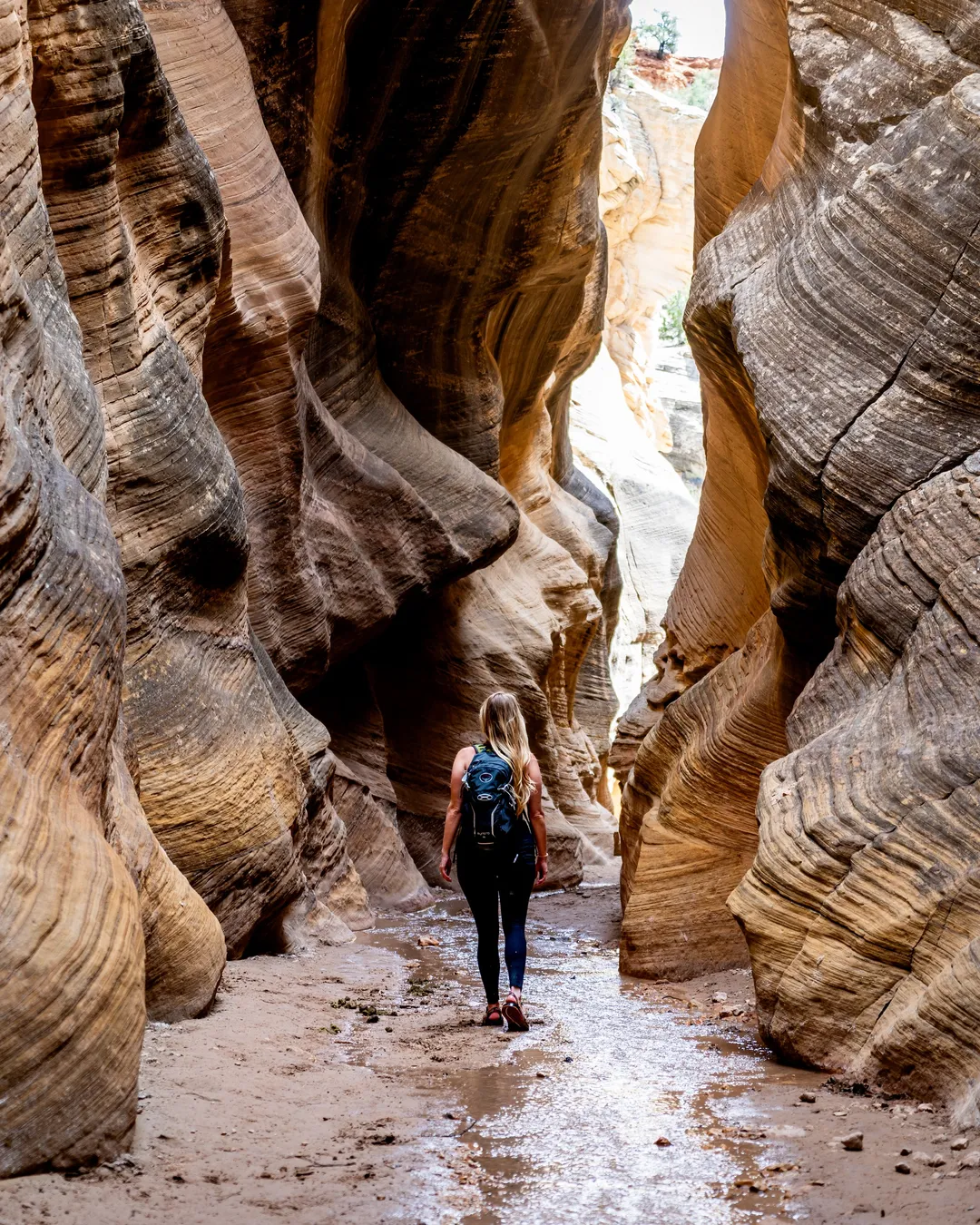 Willis Creek Narrows