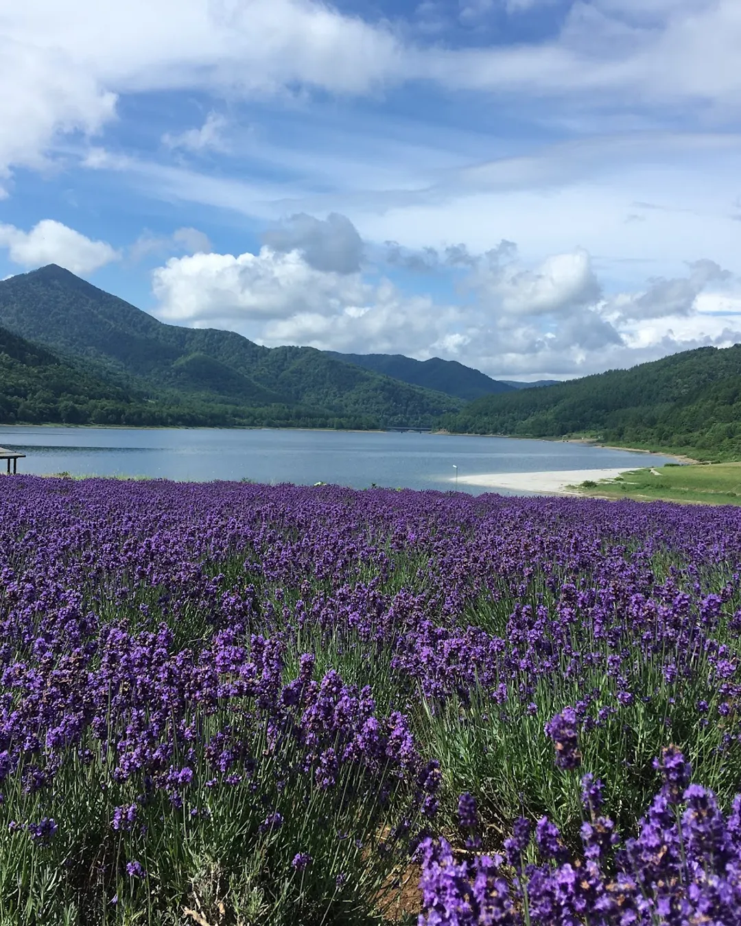 Kanayama Lake