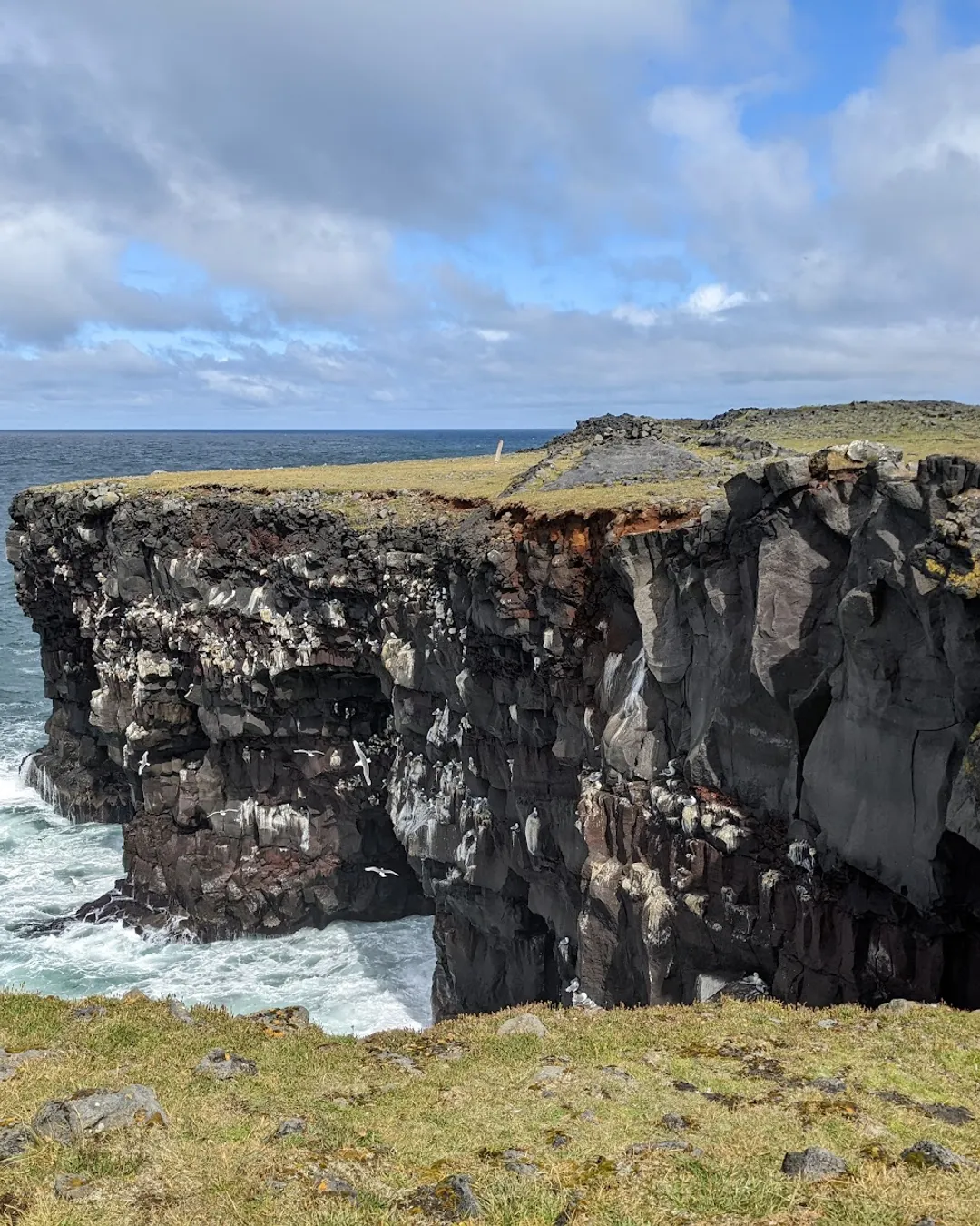 Hafnarberg - Sea-cliffs