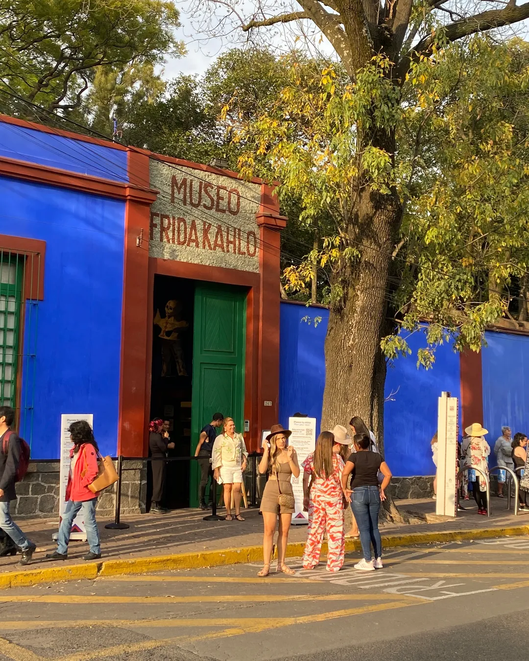 Museo Frida