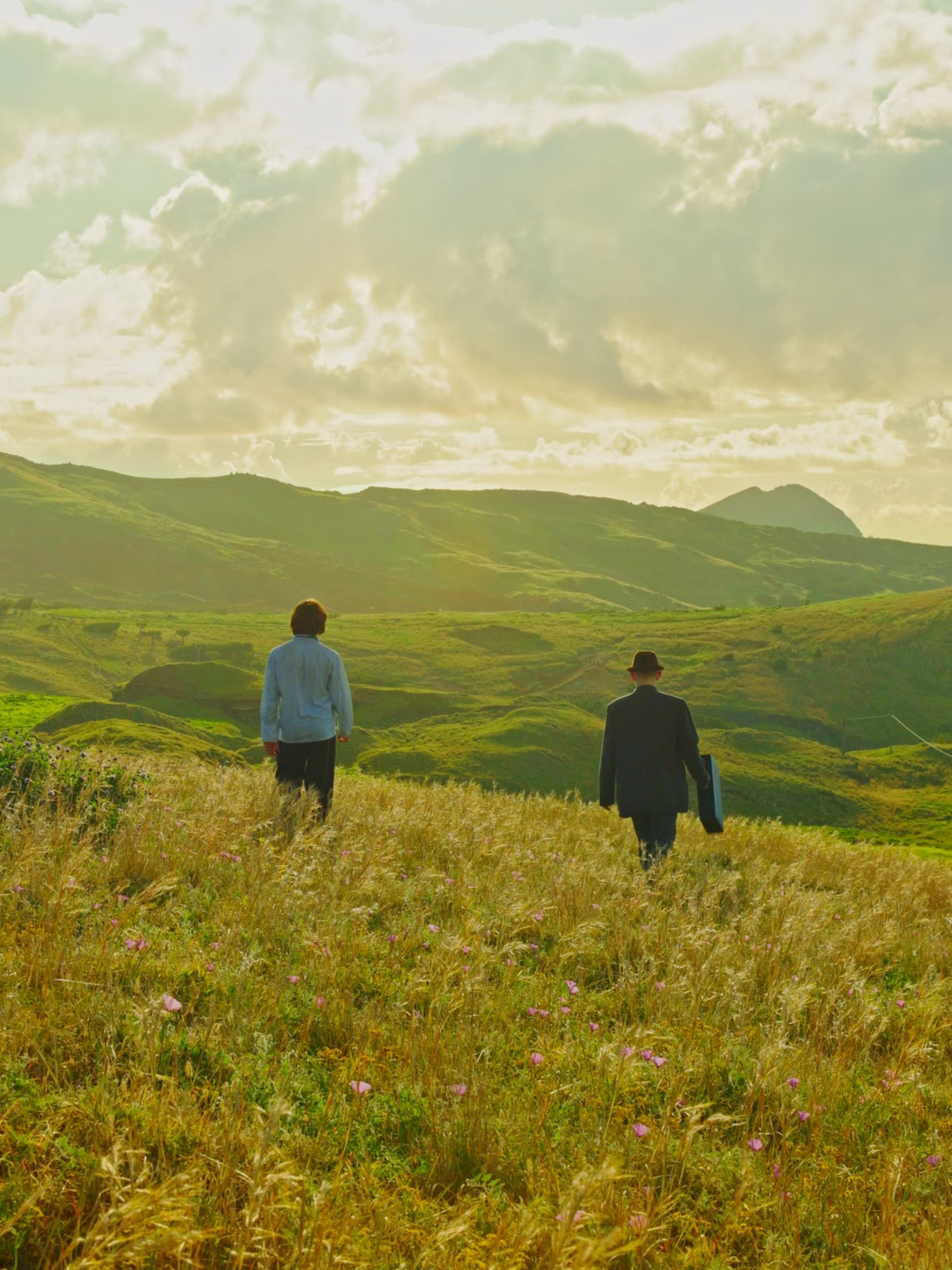 Field before flower ocean
