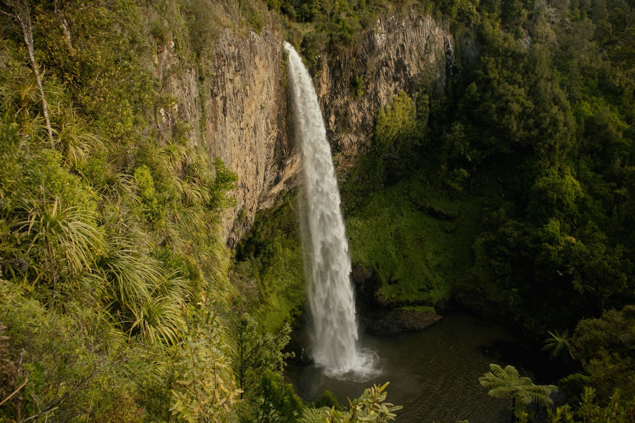 Wairēinga / Bridal Veil Falls - New Zealand - Rexby