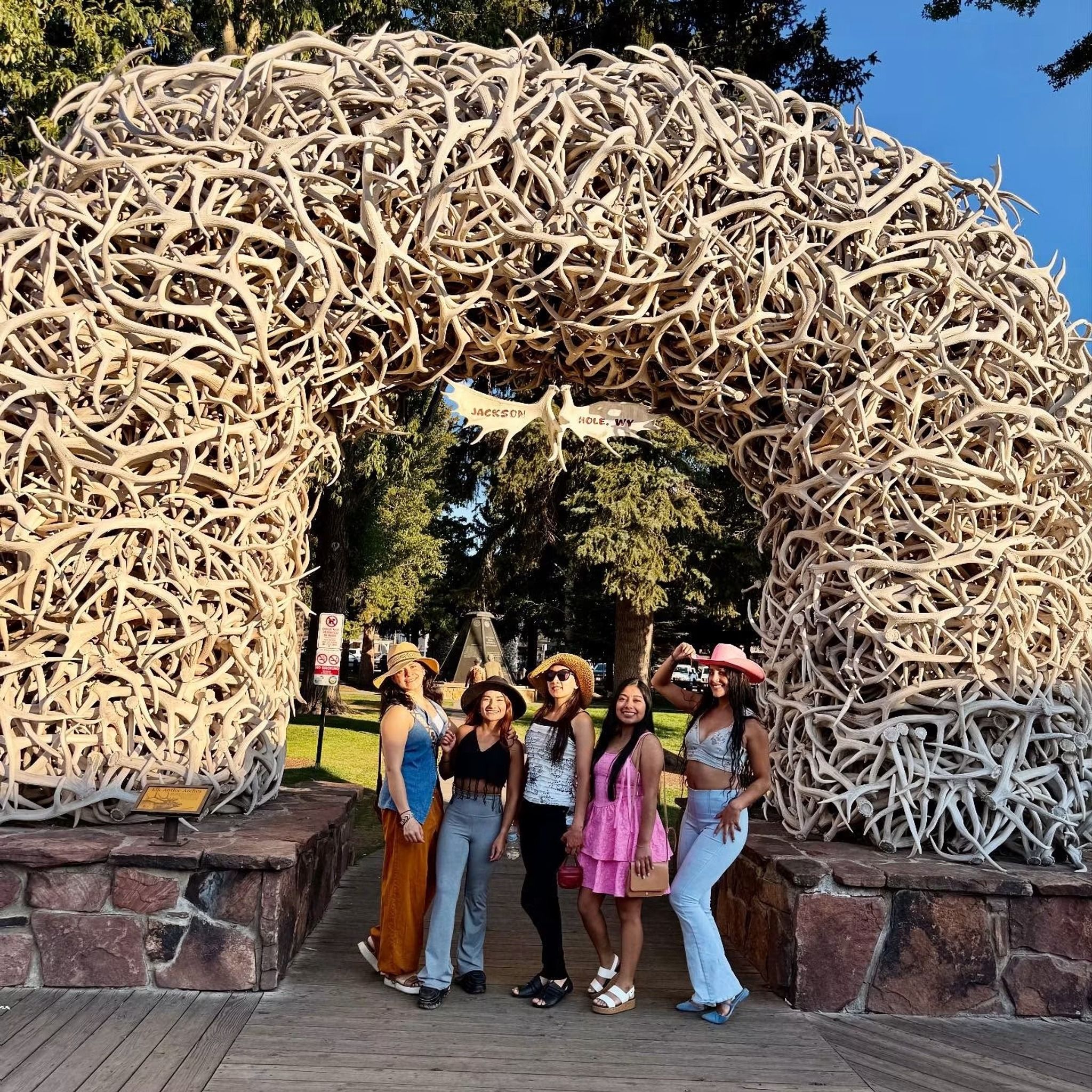 Antler Arches of Jackson