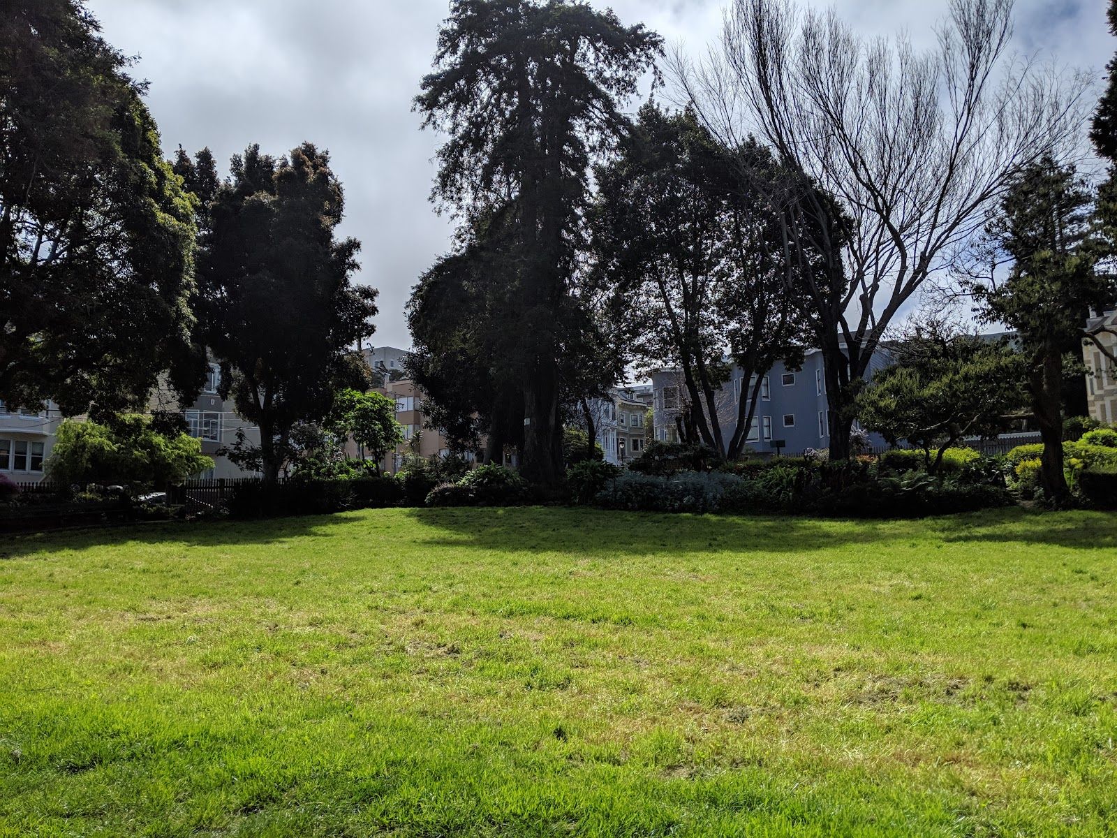Allyne Park