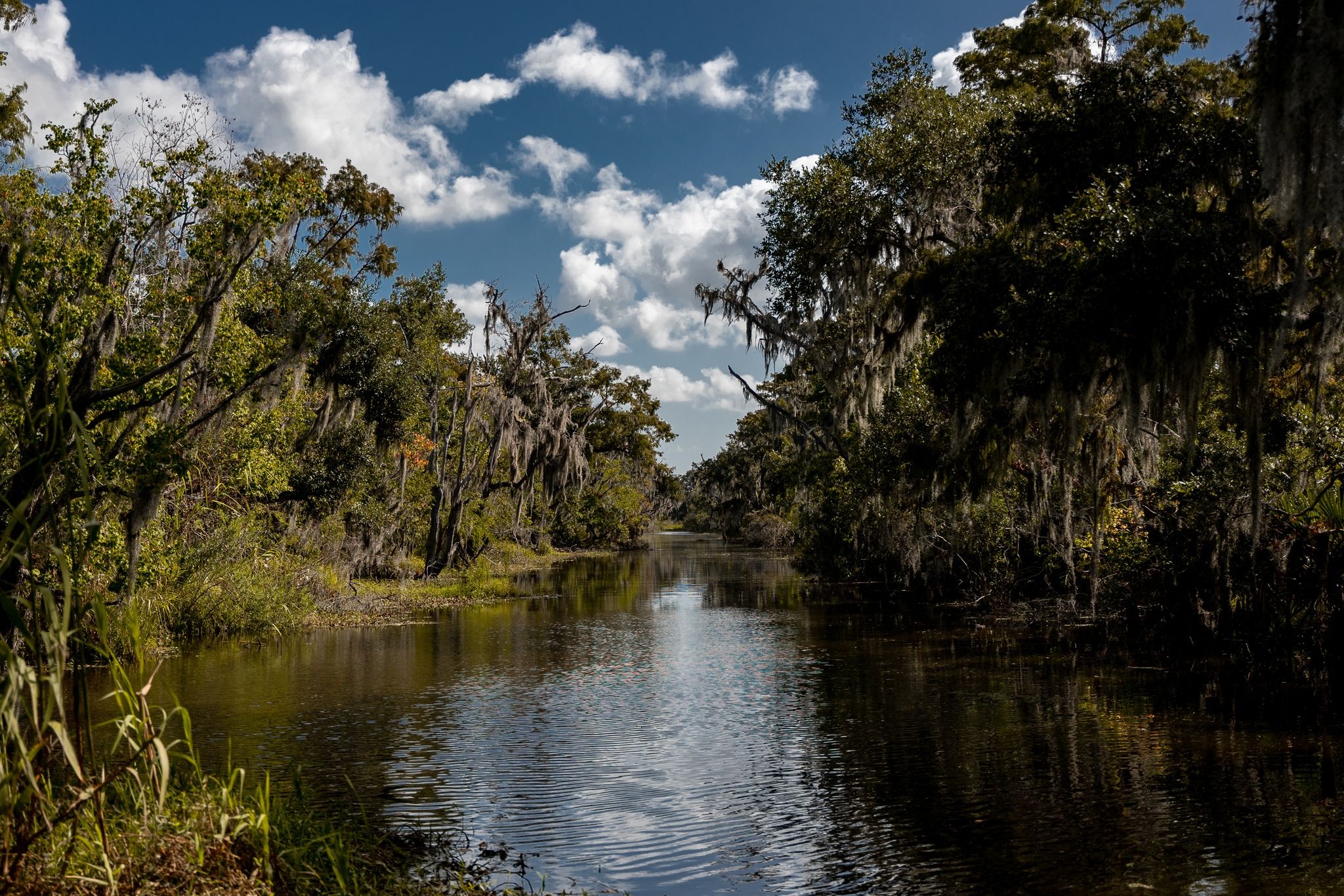 Airboat Adventures