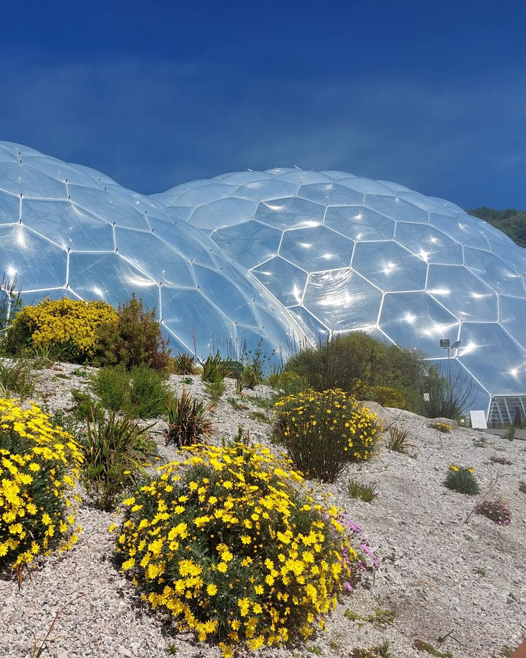 Eden Project