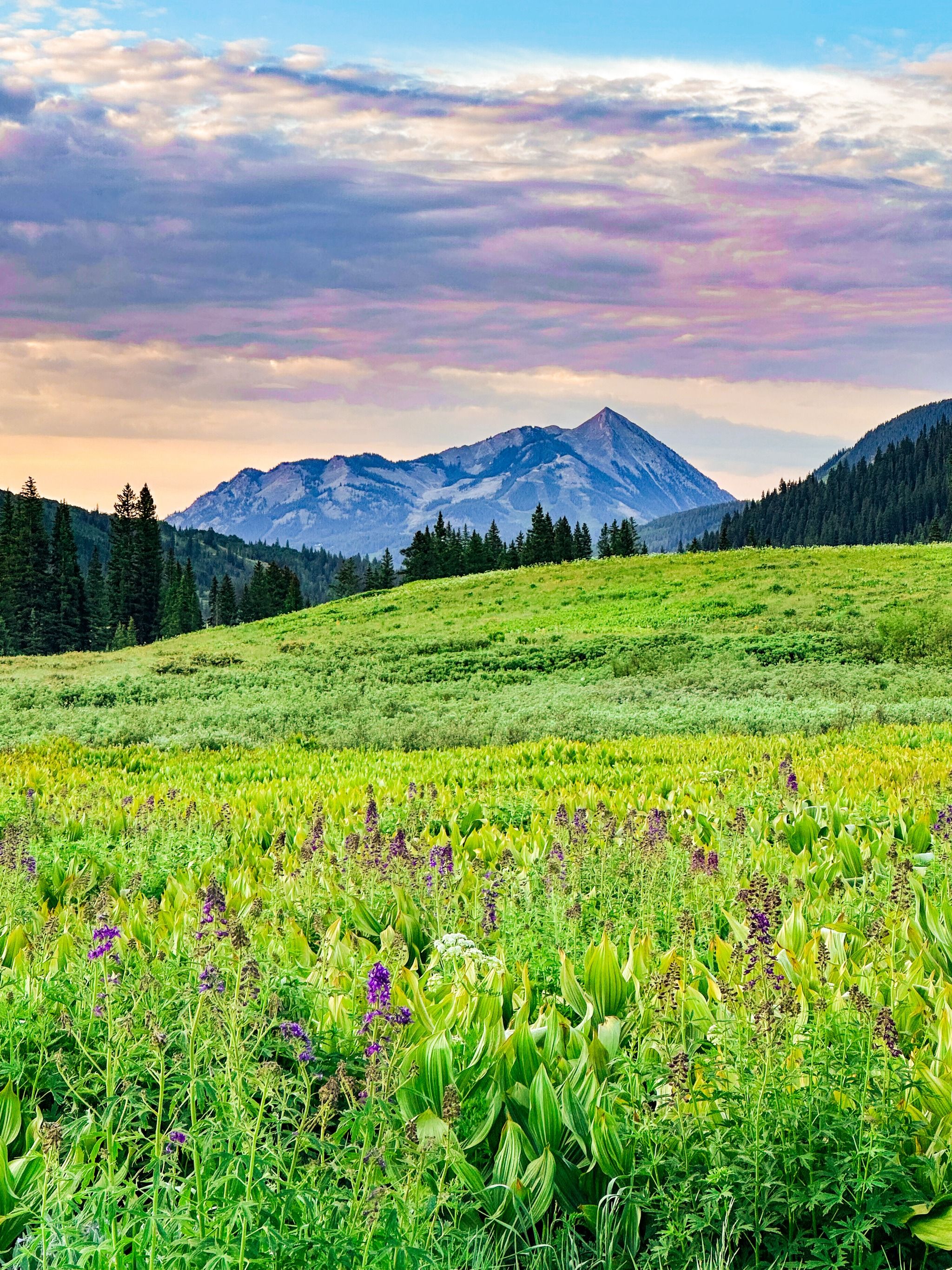 Crested Butte