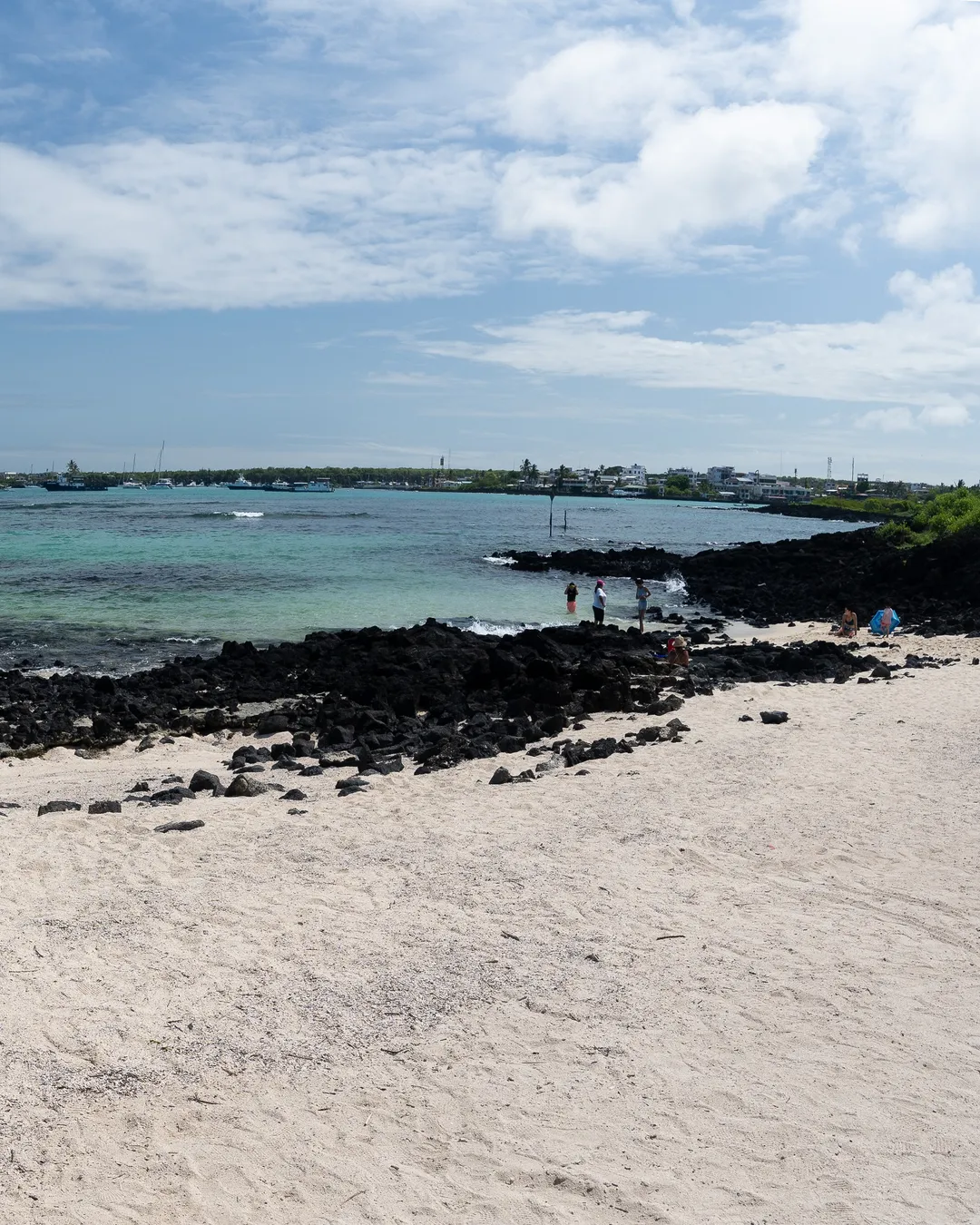 Playa de La Estacion