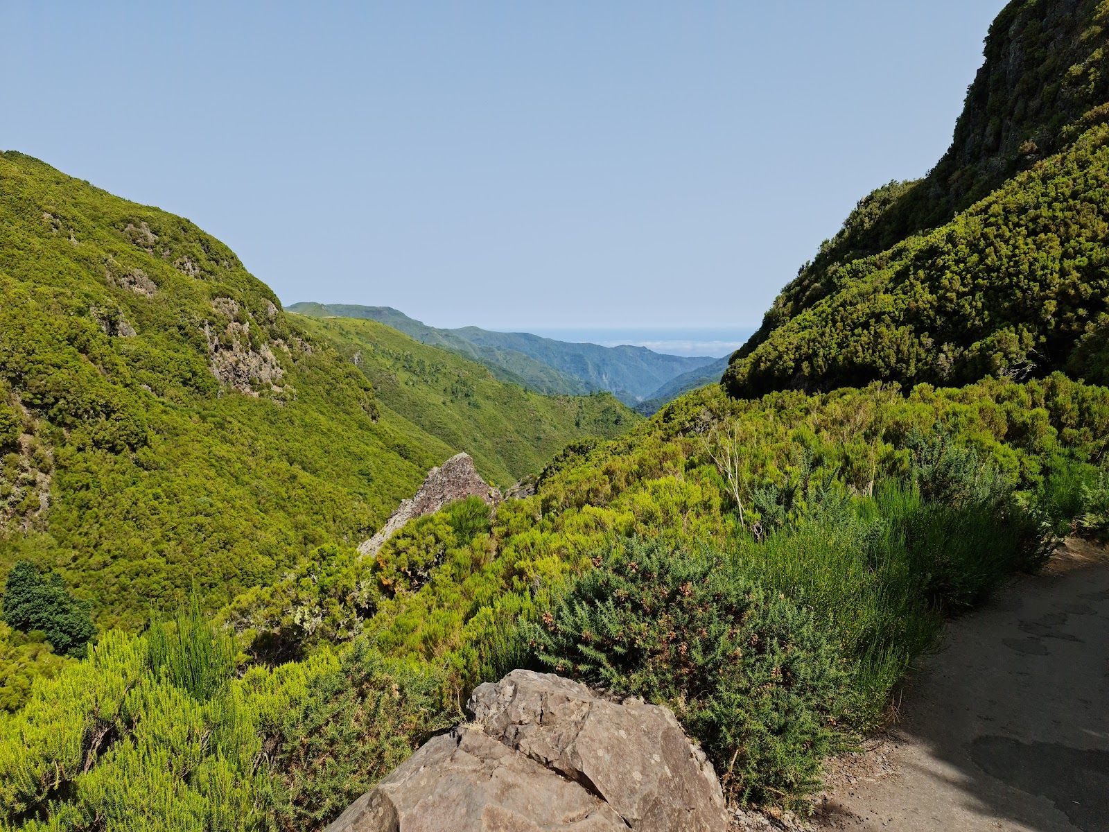 PR6 Levada das 25 Fontes / Levada do Risco