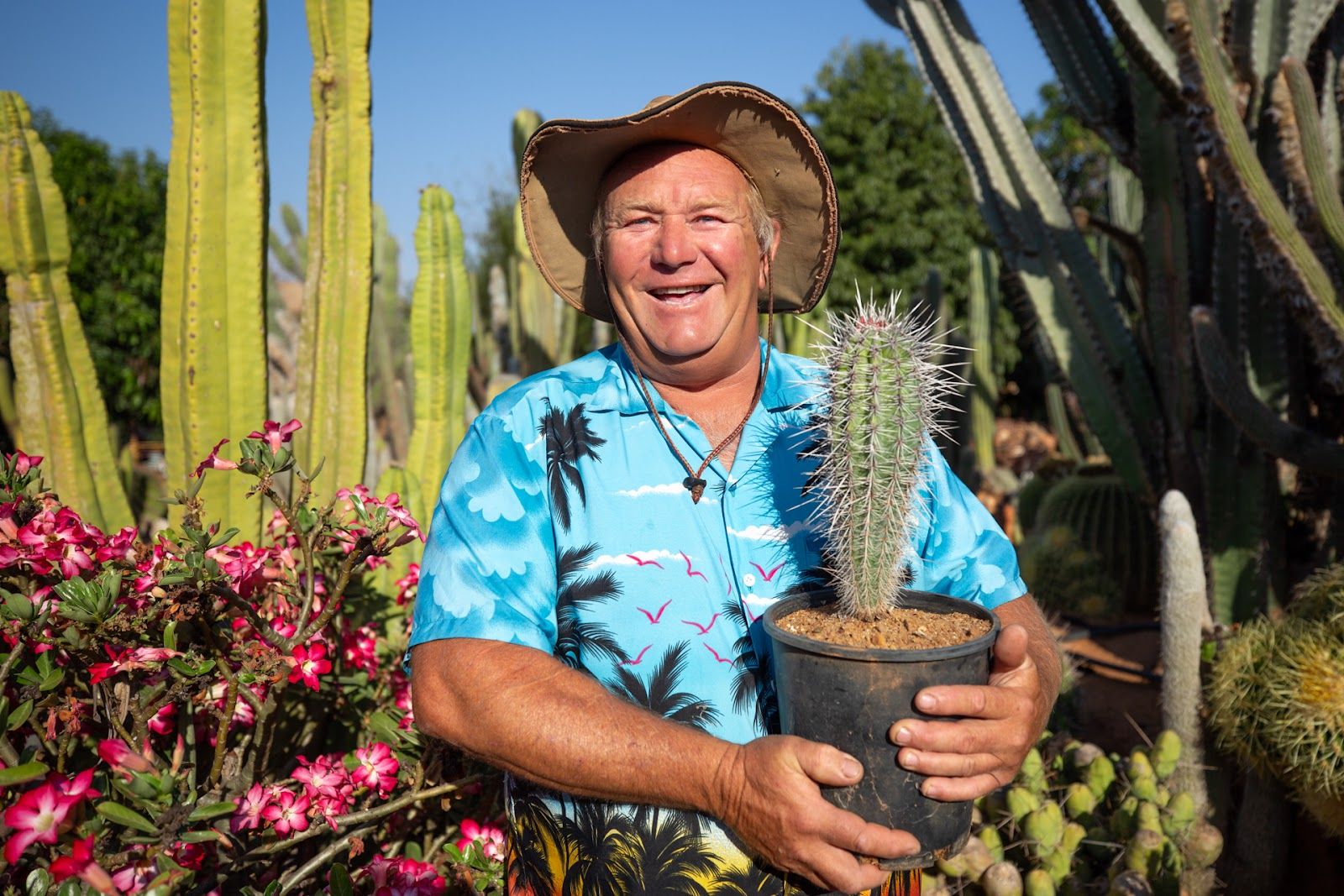 Cactus Garden Carnarvon - Australia - Rexby