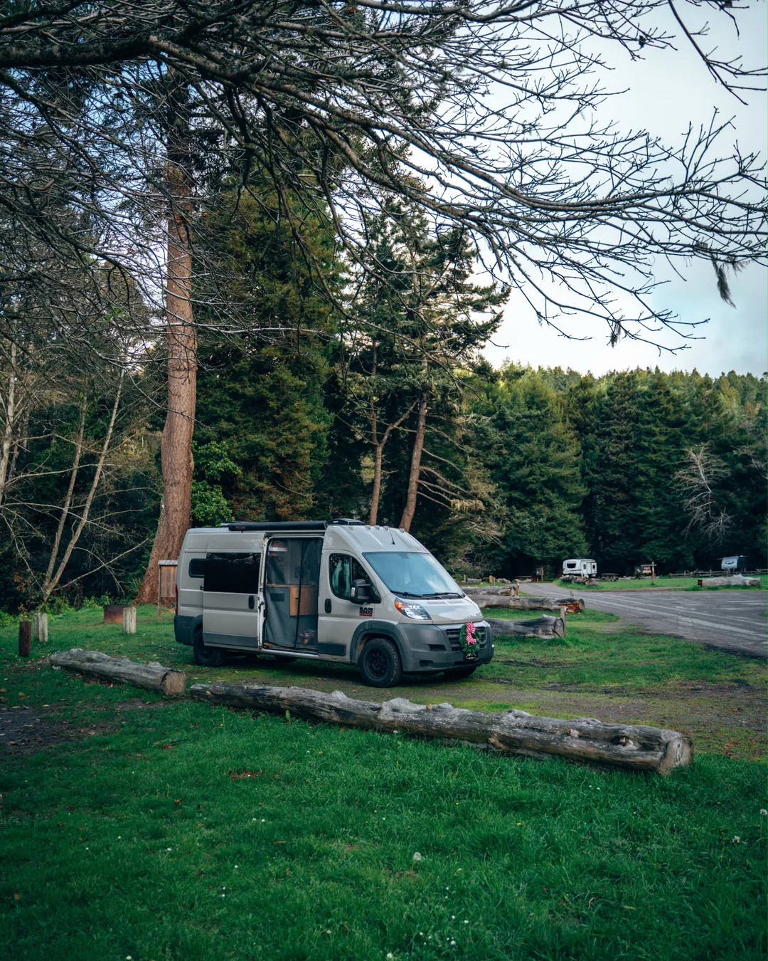 Van Damme State Park Campground