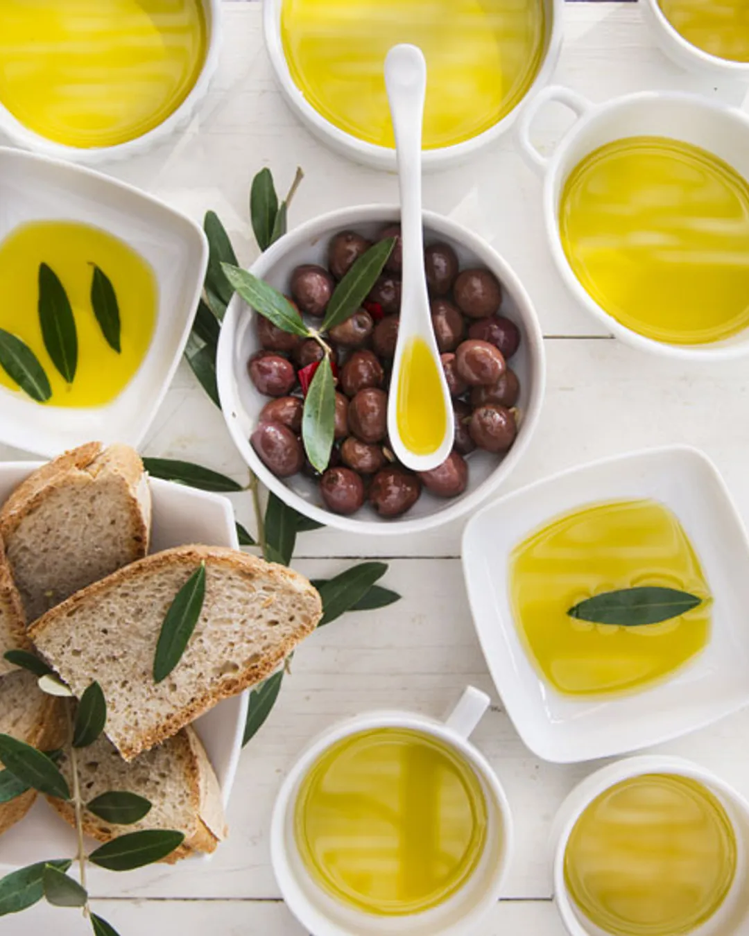 Olive Oil Tour 