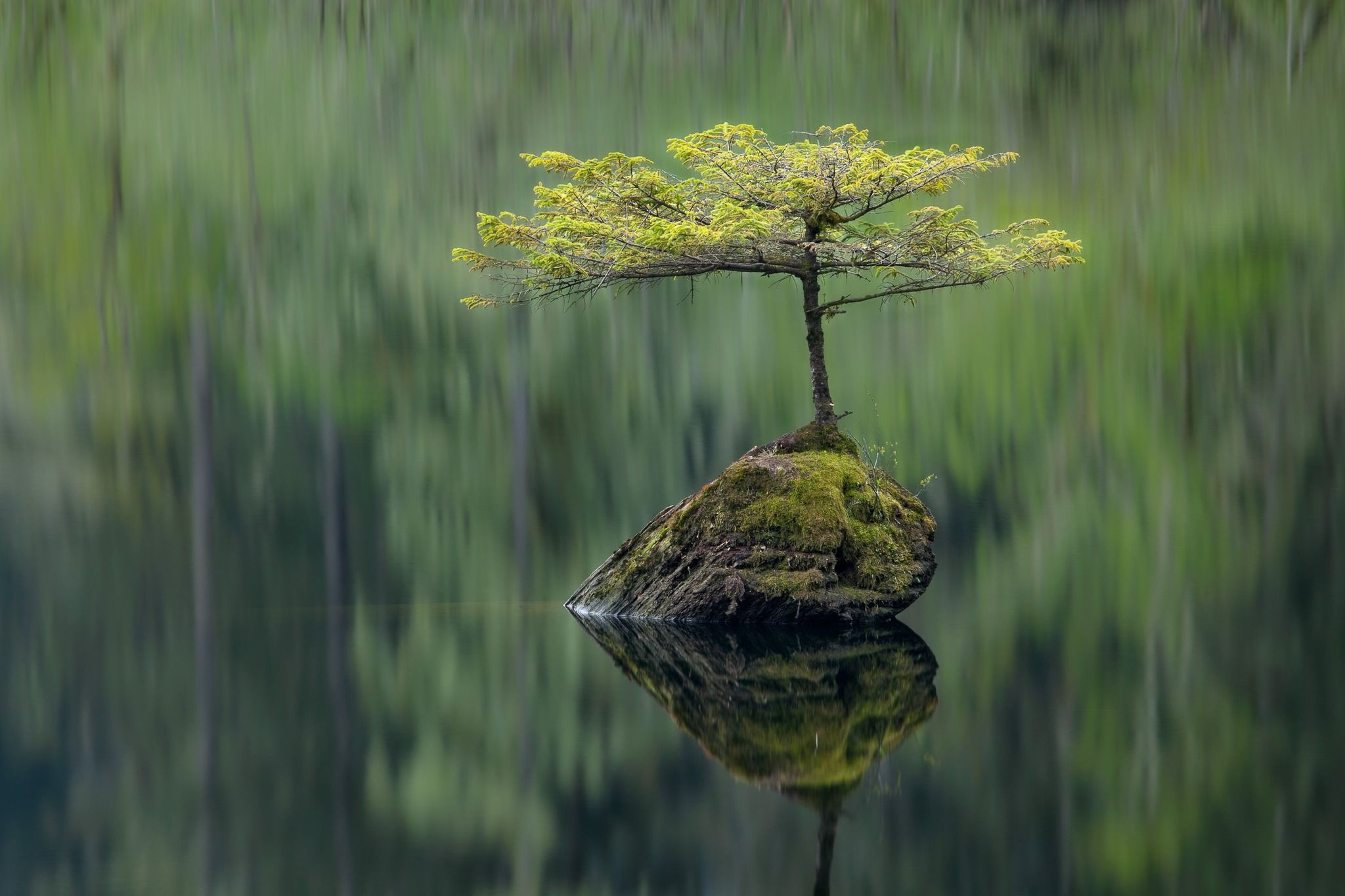Fairy Lake - Great Photography Locations Vancouver Island, Canada - Rexby