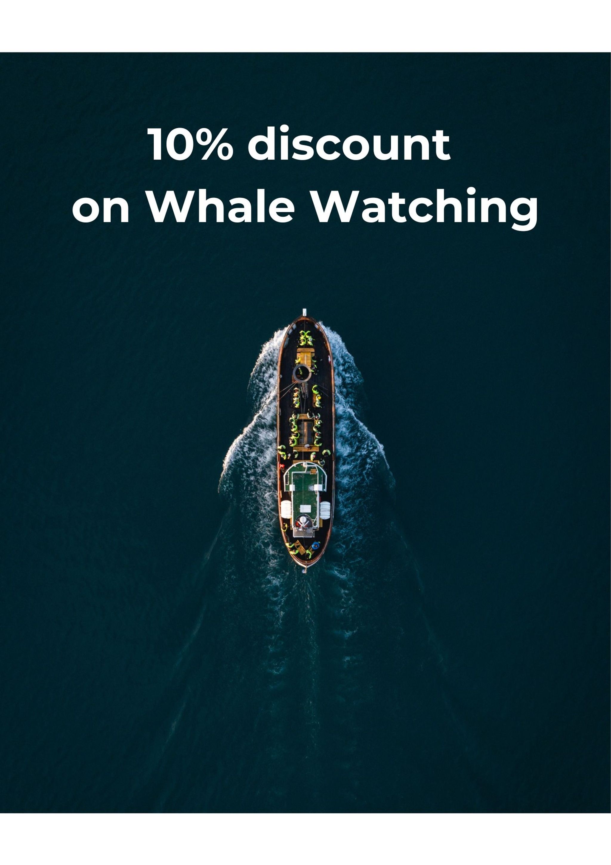 Whale Watching Árskógssandur