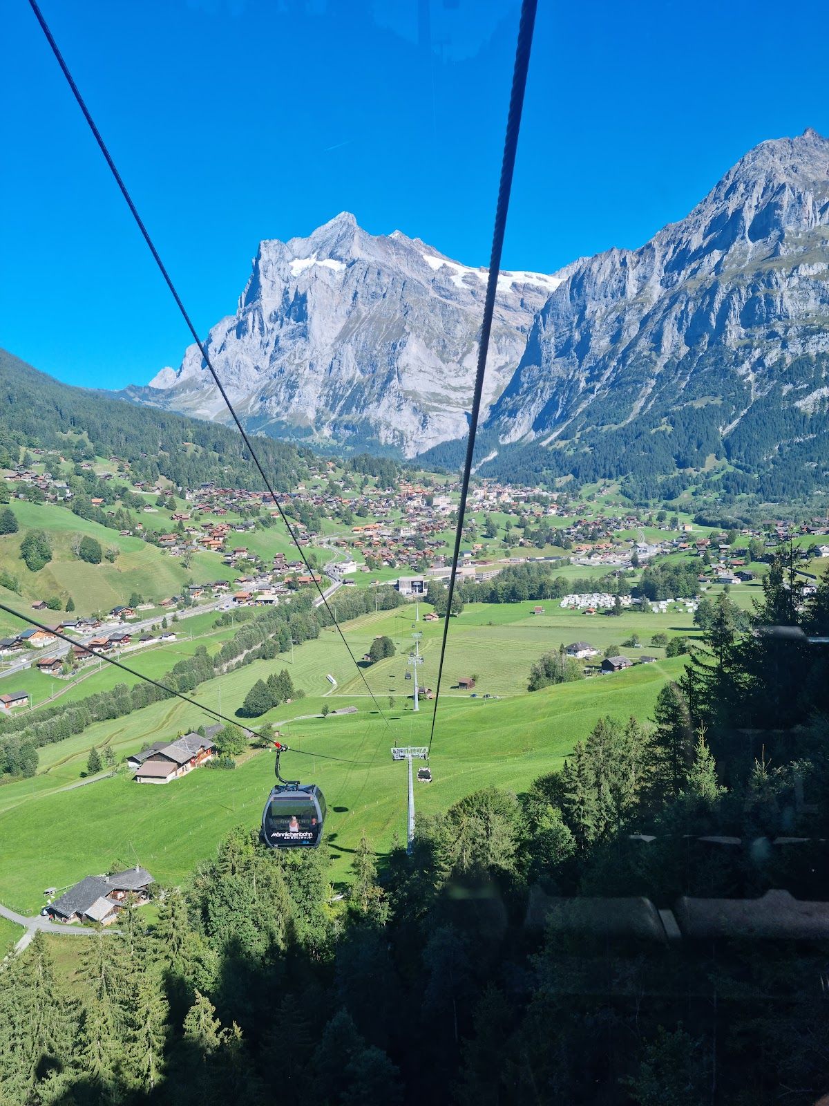 マジックマウンテン　ビーコン マジックマウンテン ビーコン マジックマウンテン ビーコン ビーコン情報