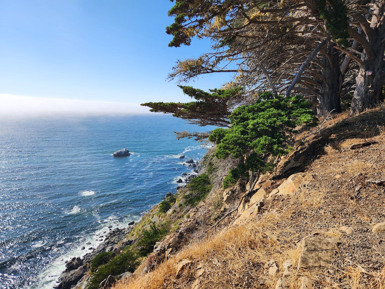 Scenic Viewpoint - California, United States - Rexby