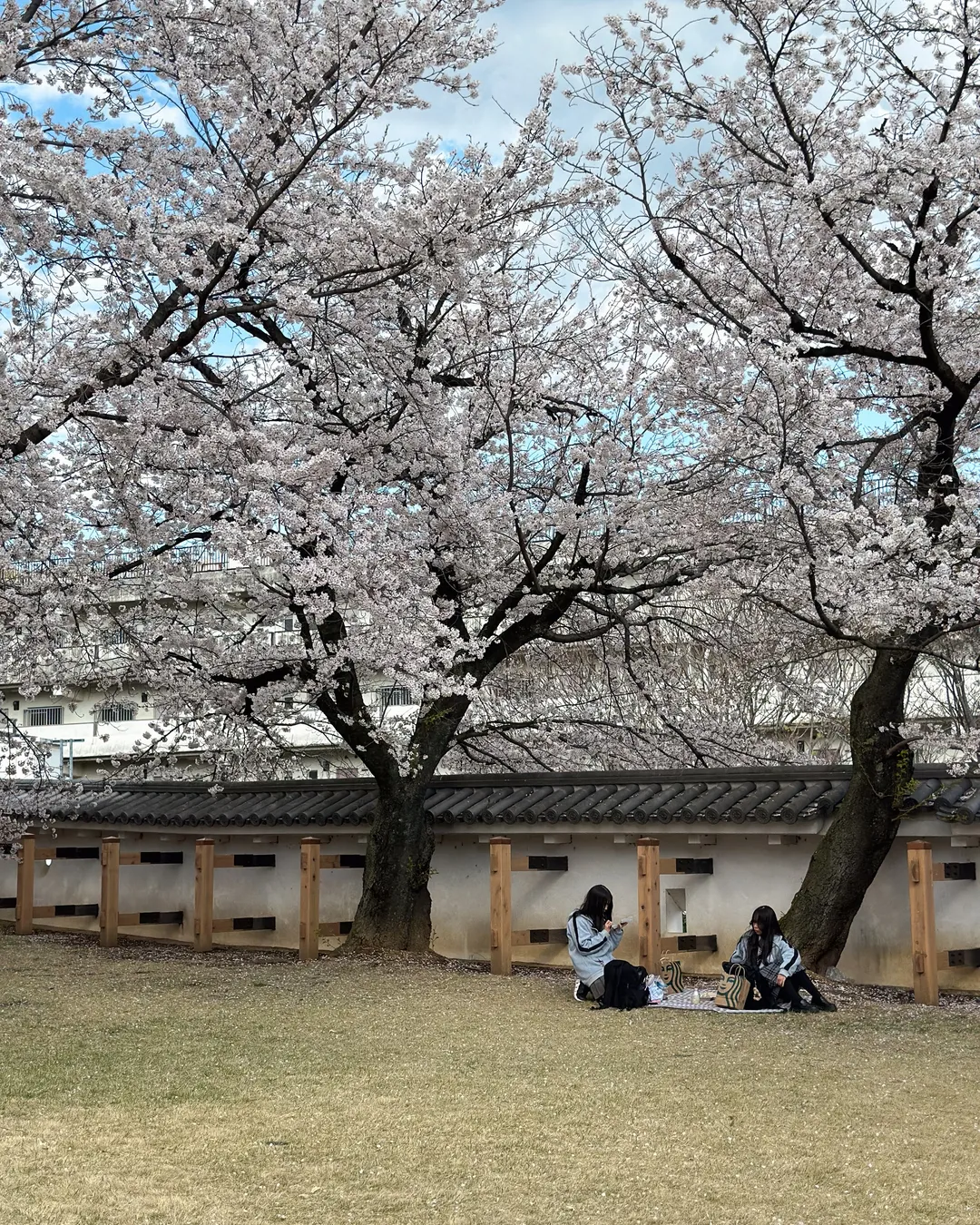 Maizuru Castle Park