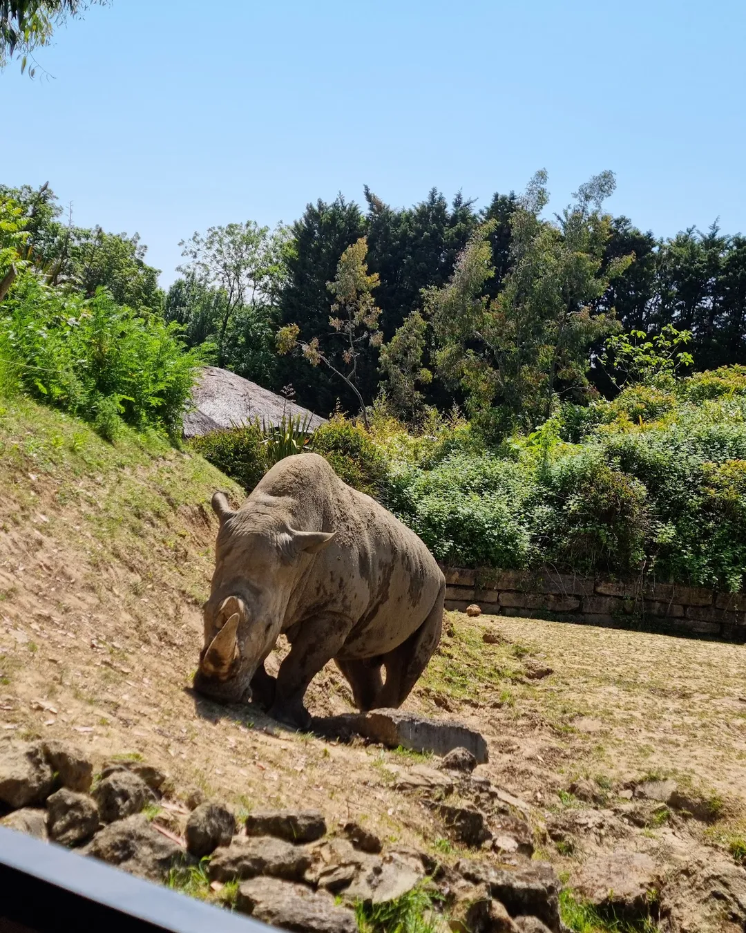 Chessington World of Adventures Resort