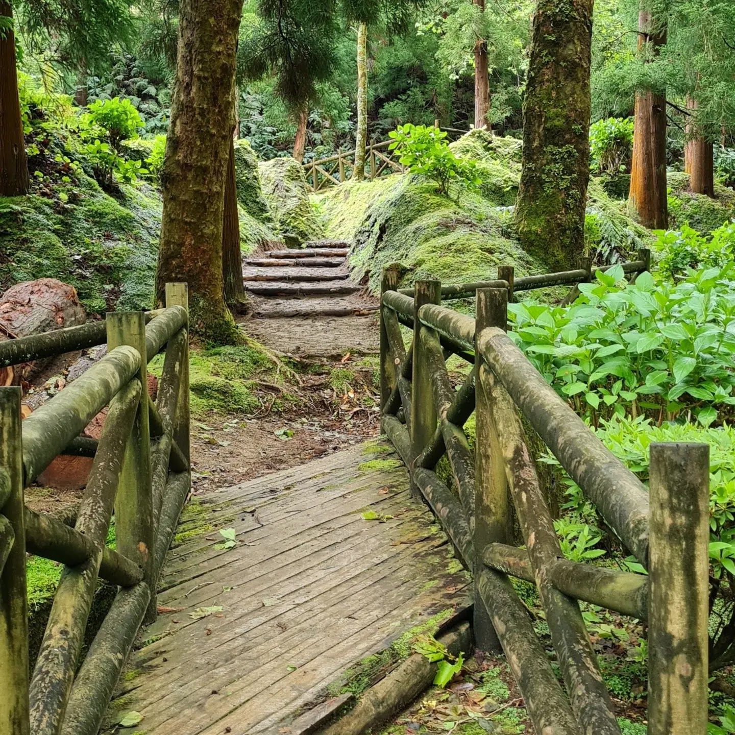 Picnic Volta do Salto