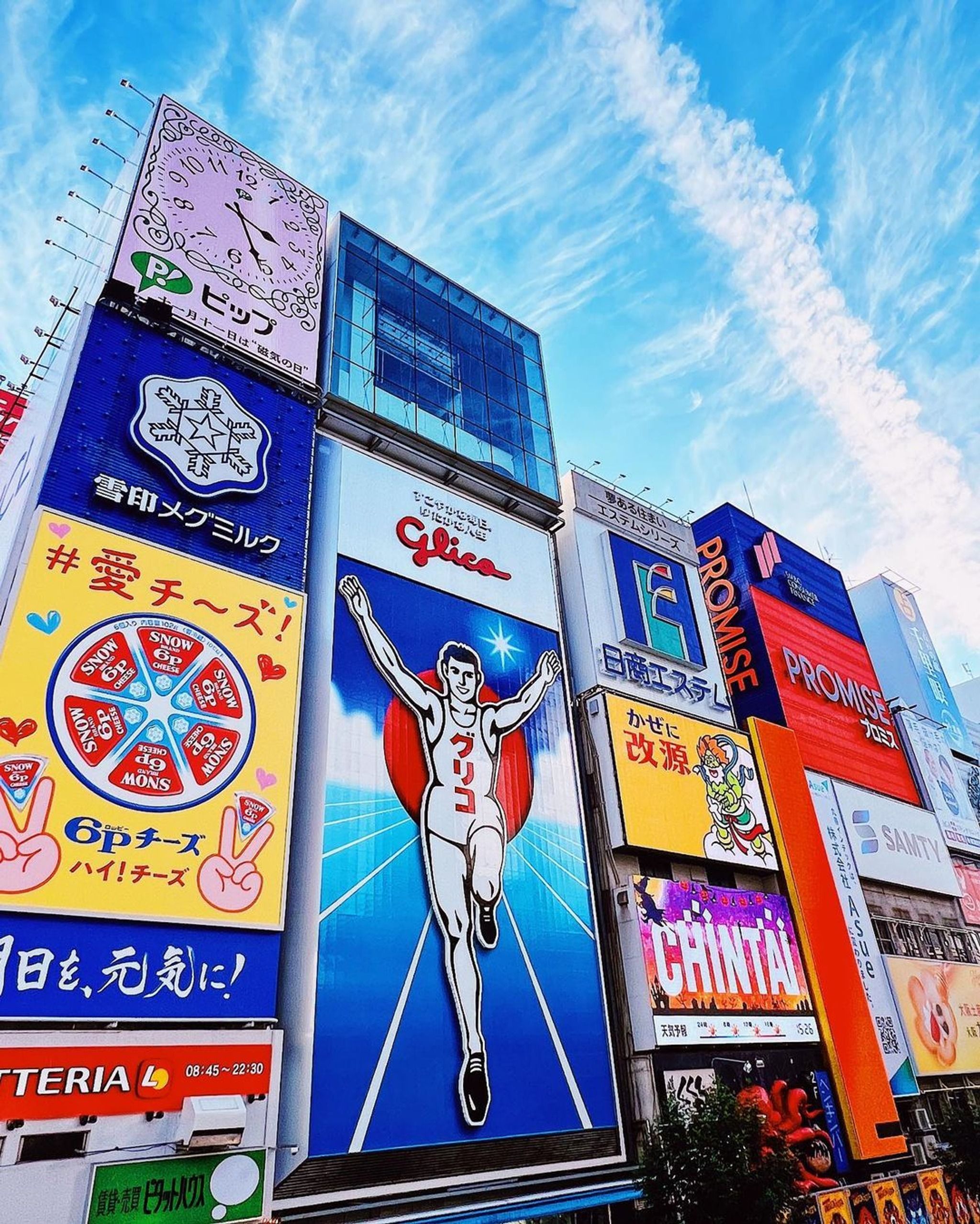 Dotonbori enjoy the night life and cuisine of Osaka