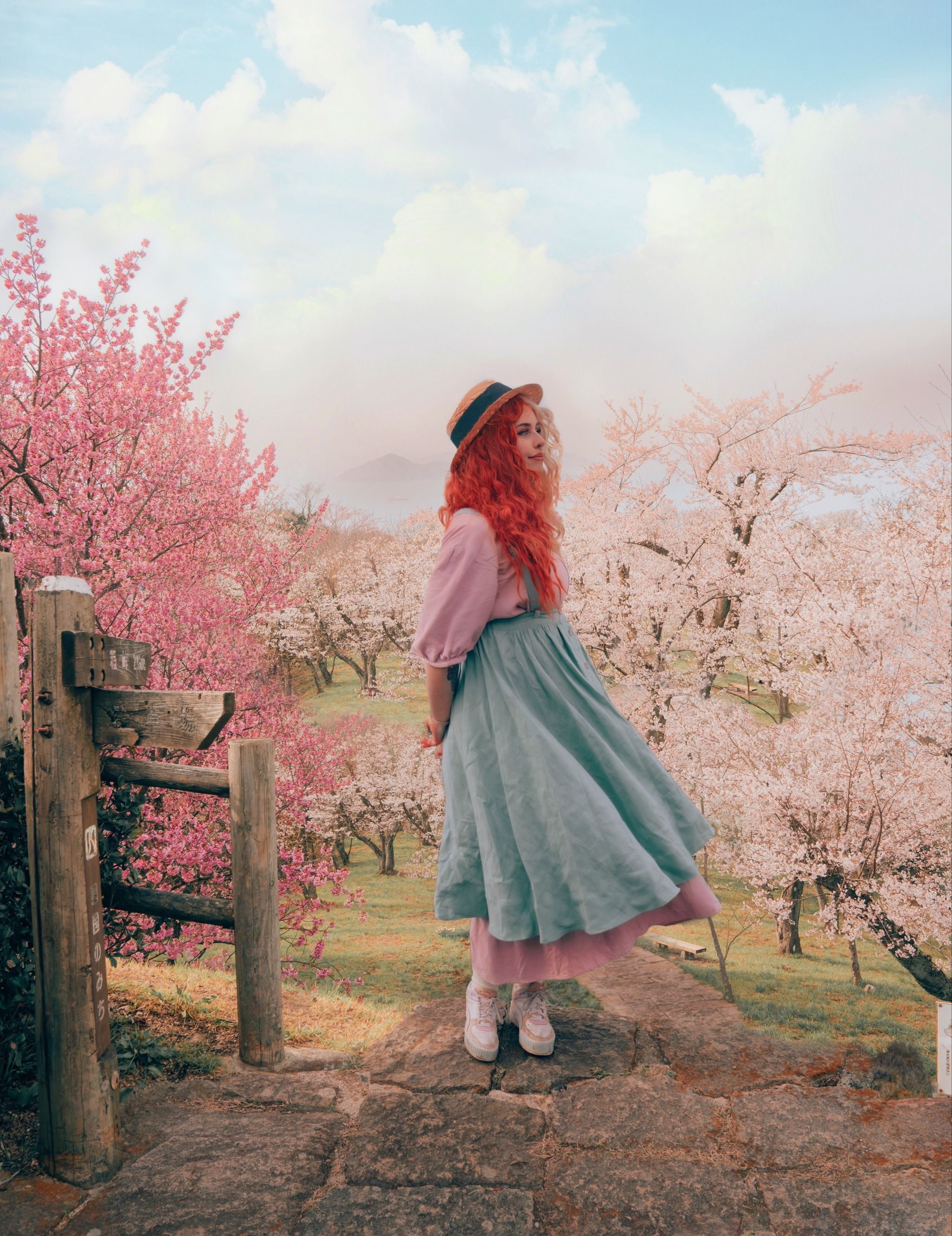 Mt. Shiude Observation Deck 紫雲出山山頂展望台