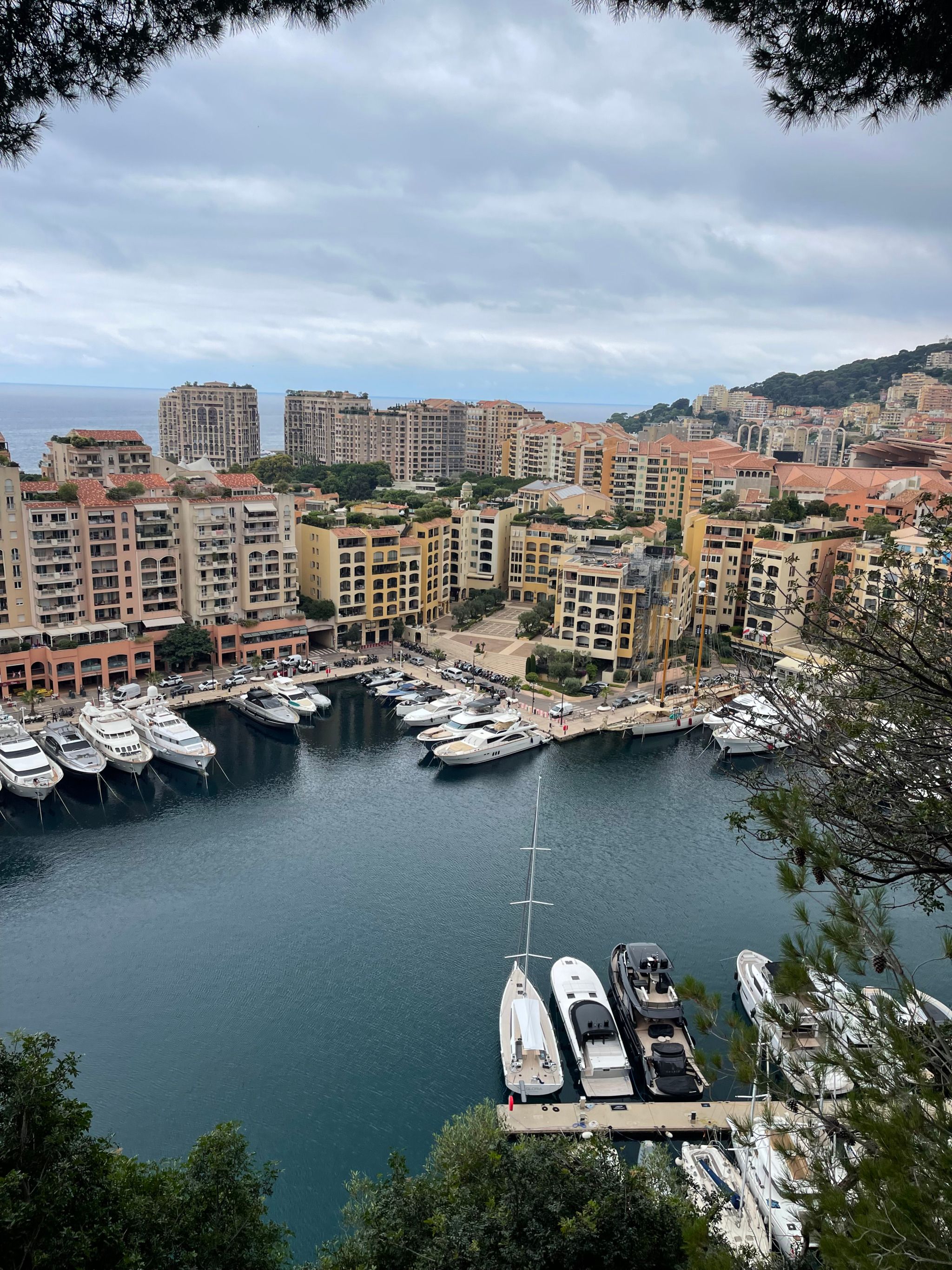Port of Fontvieille Viewpoint