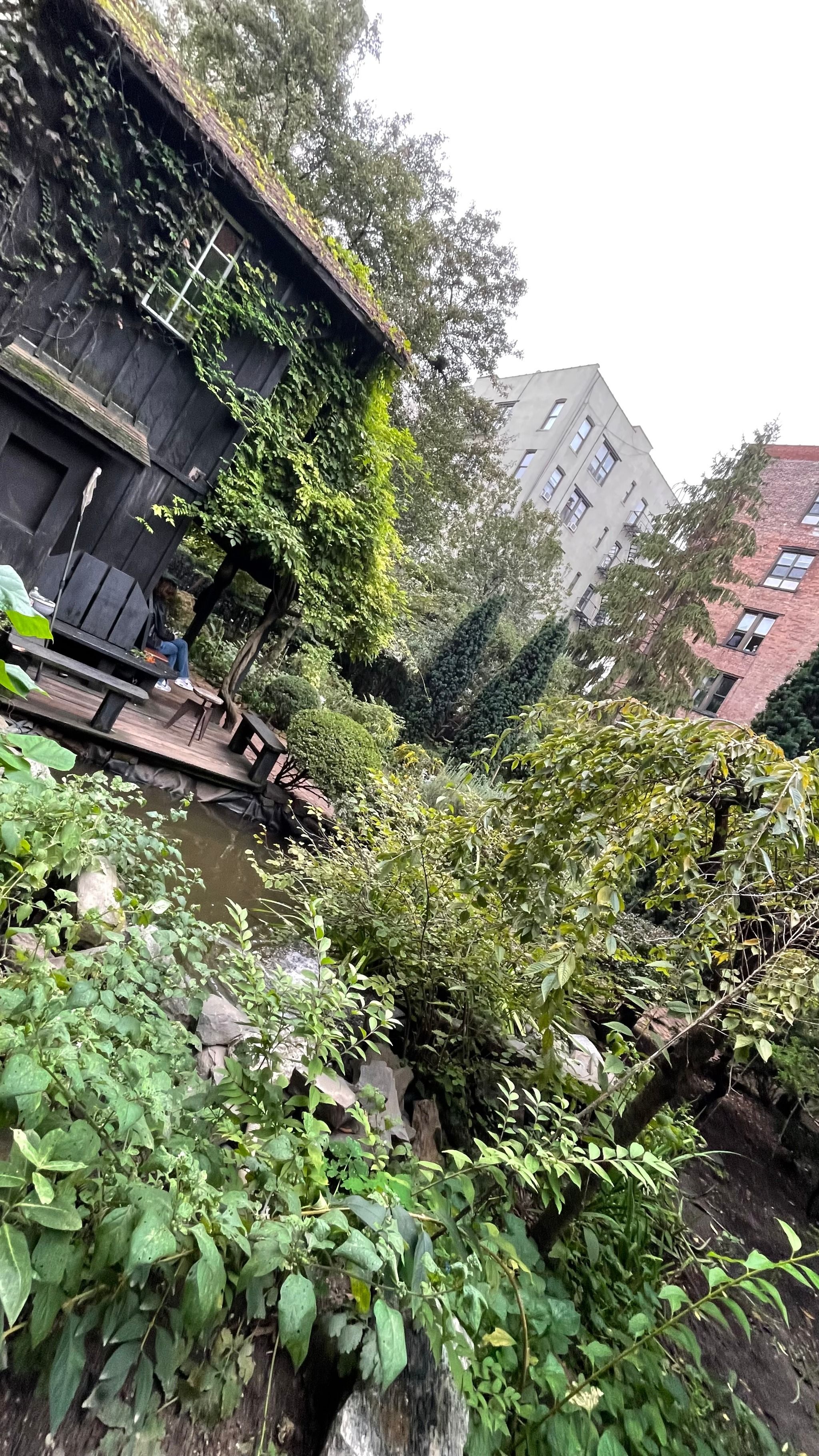 6BC Botanical Garden