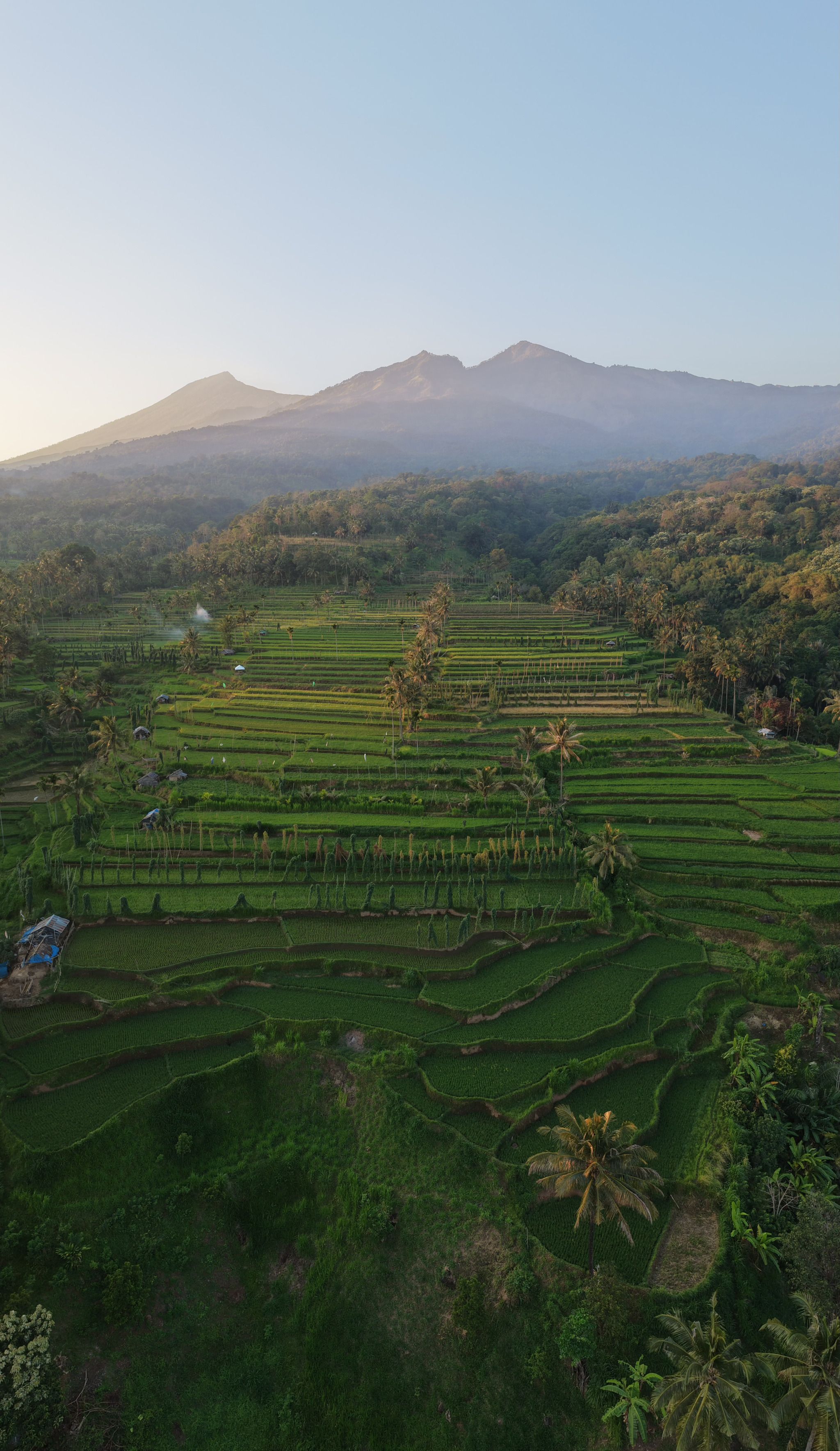 Rinjani Tradisional Rice Field, treking tour