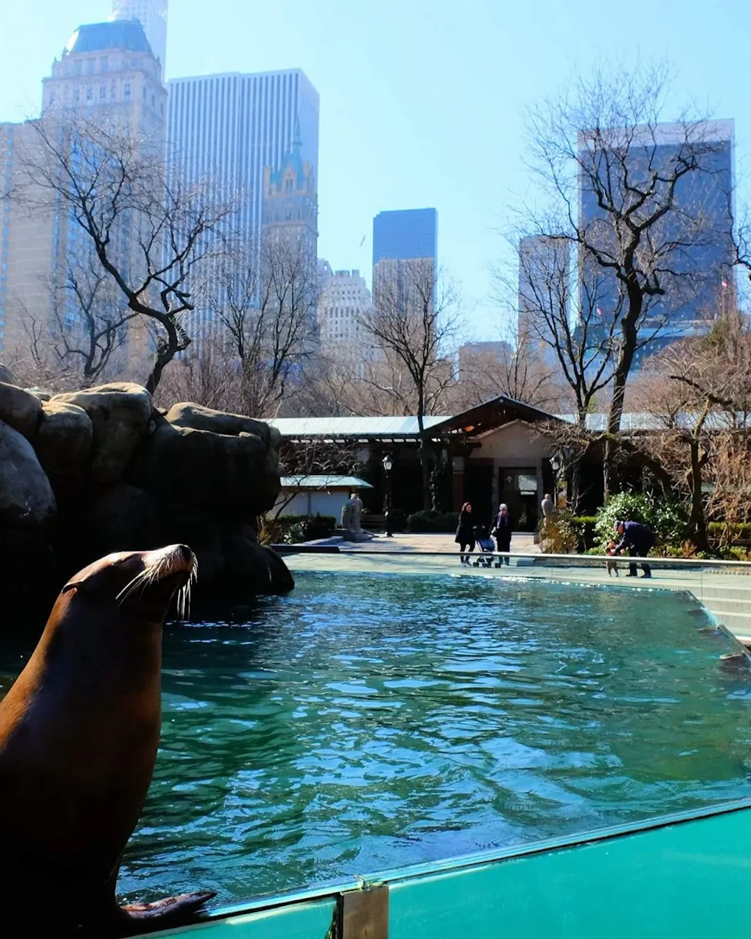 Central Park Zoo