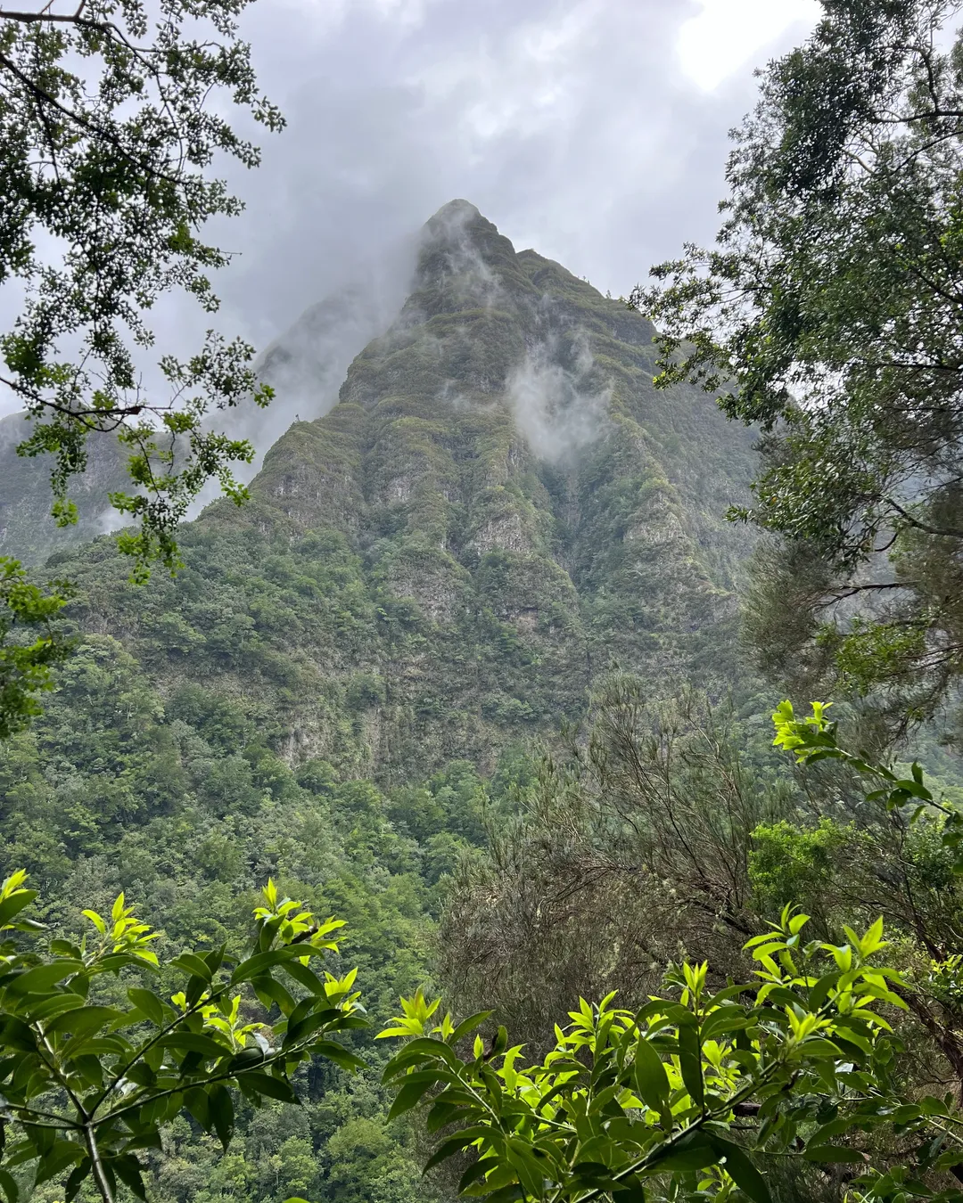 Levada dos Tornos in Boaventura