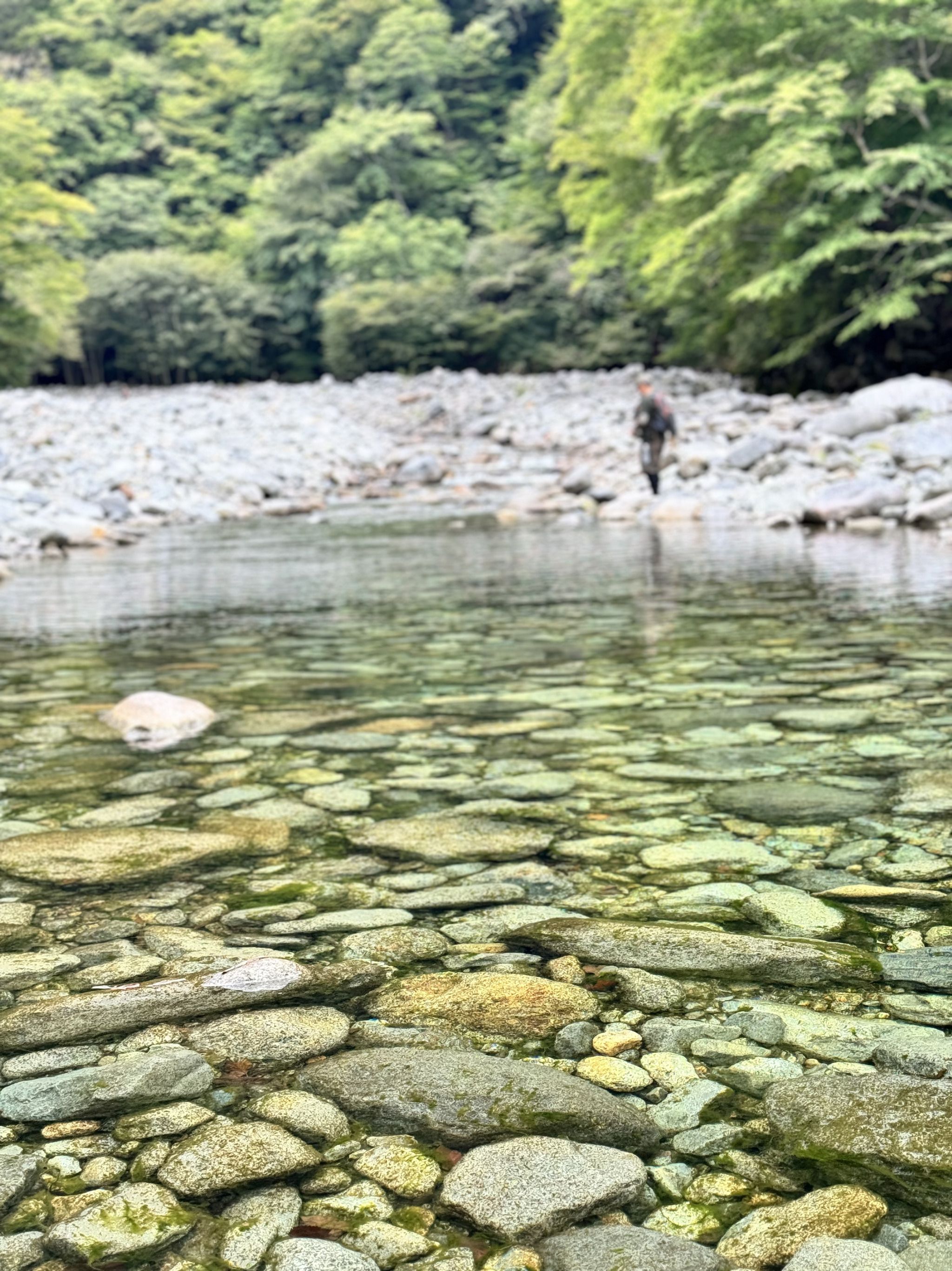 Nishizawa Gorge - Rural Travels, Japan - Rexby
