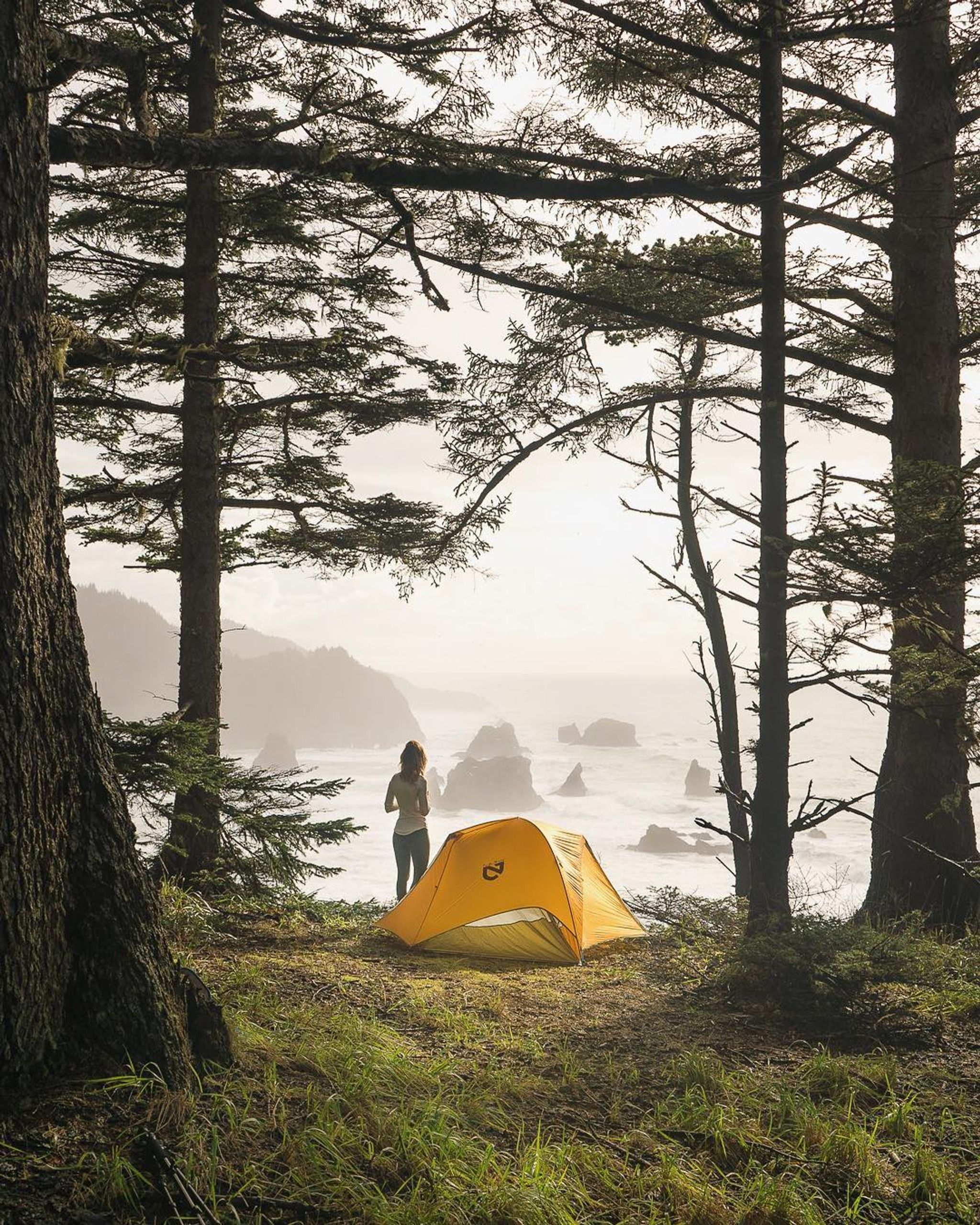 Samuel H. Boardman State Scenic Corridor
