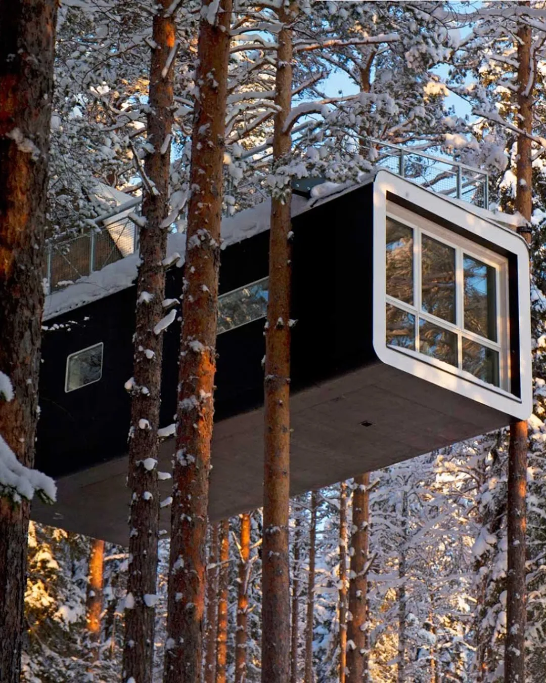 Treehotel